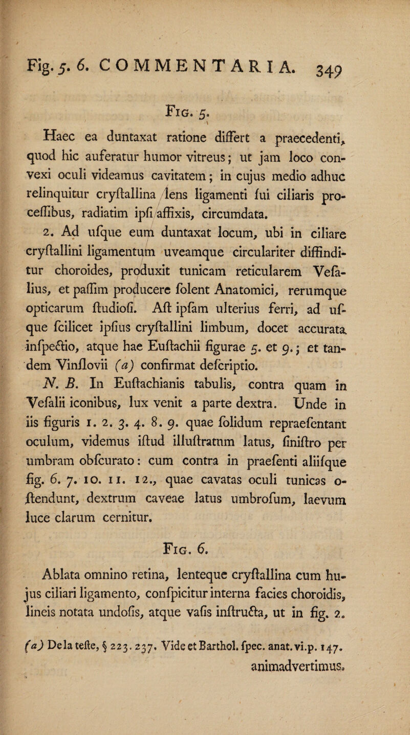 Fig. 5. ' \ Haec ea duntaxat ratione differt a praecedenti, quod hic auferatur humor vitreus; ut jam loco con¬ vexi oculi videamus cavitatem; in cujus medio adhuc relinquitur cryftallina /lens ligamenti fui ciliaris pro- ceffibus, radiatim ipfi affixis, circumdata. 2. Ad ufque eum duntaxat locum, ubi in ciliare cryftallini ligamentum uveamque circulariter diffindi¬ tur choroides, produxit tunicam reticularem Vefa- lius, et paffim producere folent Anatomici, rerumque opticarum ftudiofi. Aft ipfam ulterius ferri, ad uf¬ que fcilicet ipfius cryflallini limbum, docet accurata, infpe&io, atque hae Euflachii figurae 5. et 9.; et tan¬ dem Yinflovii (a) confirmat defcriptio. N. B. In Euflachianis tabulis, contra quam in Vefalii iconibus, lux venit a parte dextra. Unde in iis figuris 1. 2. 3. 4. 8. 9. quae folidum repraefentant oculum, videmus iflud illuflratnm latus, finiflro per umbram obfcurato: cum contra in praefenti aliifque fig. 6. 7. 10. 11. 12., quae cavatas oculi tunicas o- ftendunt, dextrum caveae latus umbrofum, laevum luce clarum cernitur. Fig. 6. Ablata omnino retina, lenteque cryftallina cum hu¬ jus ciliari ligamento, confpicitur interna facies choroidis, lineis notata undofis, atque vafis inftru&a, ut in fig. 2e (a) Delatefte, § 223. 237. VideetBarthol.fpec. anat.vi.p. 147. animadvertimus.