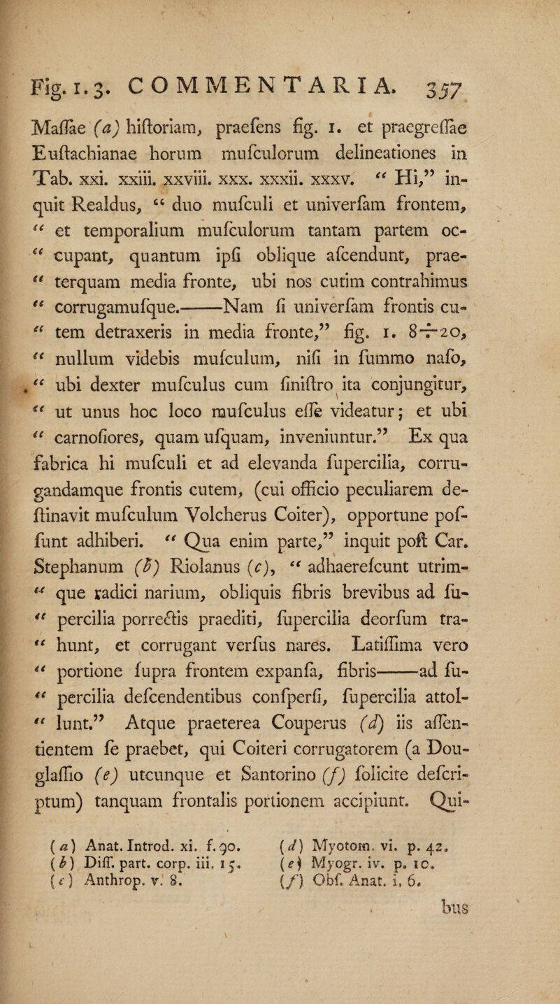 Mafiae (a) hiftoriam, praefens fig. 1. et praegrefiae Euftachianae hornm mufculorum delineationes in Tab. xxi. xxiii. xxviii. xxx. xxxii. xxxv. “ Hi,” in¬ quit Realdus, “ duo mufculi et univerram frontem, “ et temporalium mufculorum tantam partem oc- u cupant, quantum ipfi oblique afcendunt, prae- u terquam media fronte, ubi nos cutim contrahimus “ corrugamufque.-Nam fi univerfam frontis cu- 44 tem detraxeris in media fronte,” fig. 1. 8-7-20, “ nullum videbis mufculum, nifi in fummo nafo, ubi dexter mufculus cum finiftro ita conjungitur, ce ut unus hoc loco mufculus efie videatur; et ubi “ carnofiores, quam ufquam, inveniuntur.” Ex qua fabrica hi mufculi et ad elevanda fupercilia, corru- gandamque frontis cutem, (cui officio peculiarem de- flinavit mufculum Volcherus Coiter), opportune pof- funt adhiberi. “ Qua enim parte,” inquit poft Car. Stephanum (b) Riolanus (c), 44 adhaerefcunt utrim- u que radici narium, obliquis fibris brevibus ad fu- 44 percilia porreffis praediti, fupercilia deorfum tra- <e hunt, et corrugant verfus nares. Latiffima vero “ portione fupra frontem expanfa, fibris-ad fu- 44 percilia defcendentibus confperfi, fupercilia attol- 44 lunt.” Atque praeterea Couperus (d) iis afien- tientem fe praebet, qui Coiteri corrugatorem (a Dou- glafiio (e) utcunque et Santorino (f) folicite defcri- ptum) tanquam frontalis portionem accipiunt. Qui» (a) Anat. Introd. xi. f.90. [d) Myotorn. vi. p. 42, (£) DiiT. part. corp. iii, 1 £. (e) Myogr. iv. p. ic. ( f) Anthrop. v. 8. {/) Obf. Anat. i, 6. bus