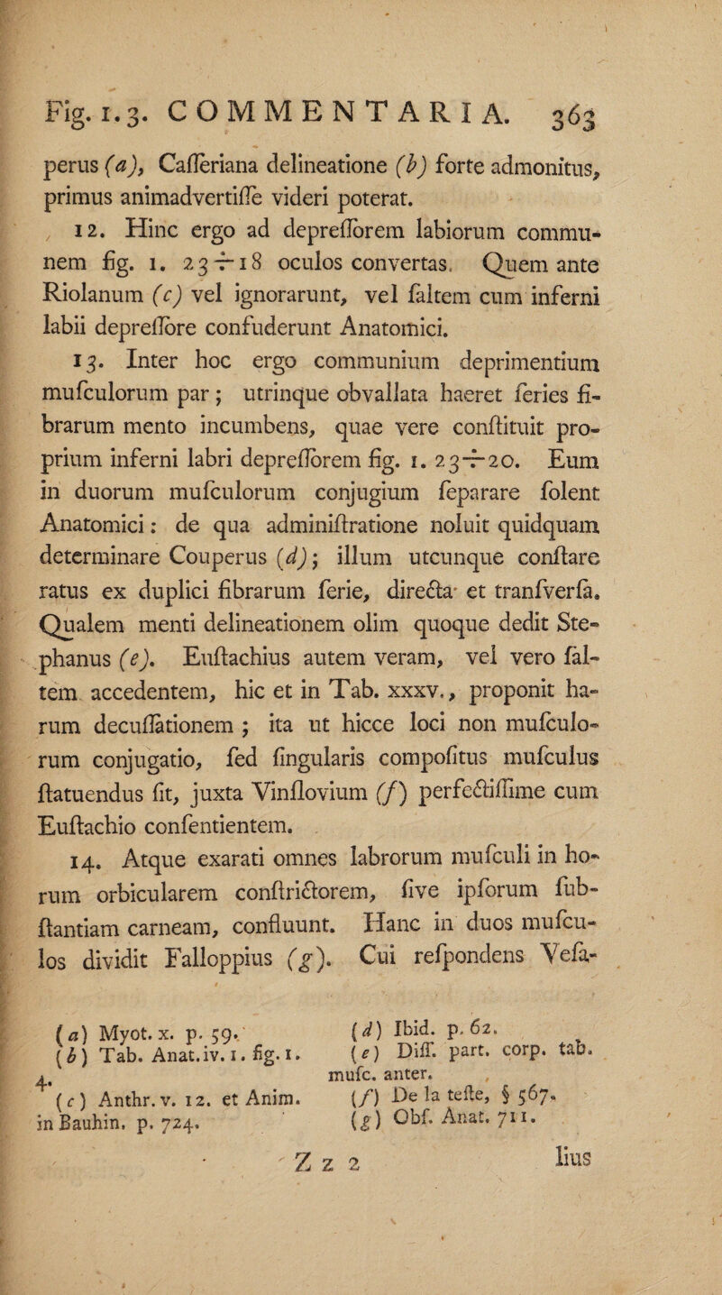 perus (a), Cafleriana delineatione (b) forte admonitus, primus animadvertifle videri poterat. 12. Hinc ergo ad depreflbrem labiorum commu¬ nem fig. 1. 23-7-18 oculos convertas. Quem ante Riolanum (c) vel ignorarunt, vel faltem cum inferni labii deprellbre confuderunt Anatomici. 13. Inter hoc ergo communium deprimentium mufculorum par ; utrinque obvallata haeret feries fi¬ brarum mento incumbens, quae vere conftituit pro¬ prium inferni labri depreflbrem fig. i. 23-7-20. Eum in duorum mufculorum conjugium feparare folent Anatomici; de qua adminiflratione noluit quidquam determinare Couperus (d) j illum utcunque conflare ratus ex duplici fibrarum ferie, dire&a- et tranfverfa. Qualem menti delineationem olim quoque dedit Ste- phanus (e). Euftachius autem veram, vel vero fal¬ tem accedentem, hic et in Tab. xxxv,, proponit ha¬ rum decuflationem ; ita ut hicce loci non mufculo¬ rum conjugatio, fed lingularis compofitus mufculus ffatuendus fit, juxta Yinflovium (f) perfe&iffime cum Euflachio confentientem. 14. Atque exarati omnes labrorum mufculi in ho¬ rum orbicularem conflri&orem, five ipforum fub- flantiam carneam, confluunt. Hanc in duos mu (cu¬ los dividit Falloppius (g). Cui refpondens Yefa- (a) Myot. x. p. 59.' (d) Ibld. p. 62. {b) Tab. Anat.iv. 1. fig. 1» (*) DifT. part. corp. taba 1 mufc. anter. (r) Anthr. v. 12. et Anim. (/) De la tefte, §567. inBauhin. p. 724. {&) Obf. Anat. 711.  Z z 2 lius