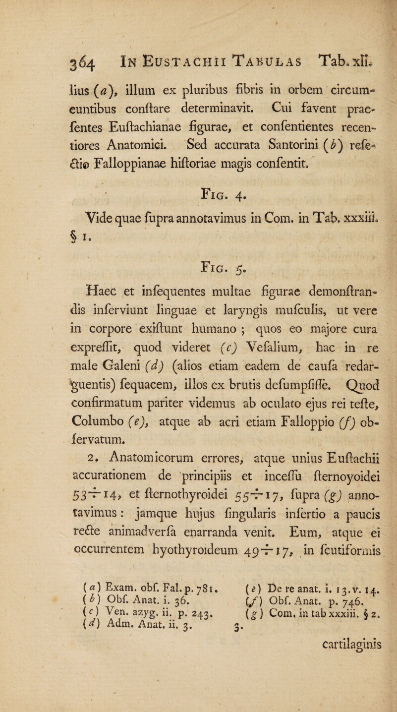 lius (^), illum ex pluribus fibris in orbem circum* euntibus conflare determinavit. Cui favent prae- fentes Euftachianae figurae, et confentientes recen- tiores Anatomici. Sed accurata Santorini (£) refe* £lio Falloppianae hifloriae magis confentit, Fig. 4. Vide quae fupra annotavimus in Com, in Tab. xxxiih § 1. Fig. 5. Haec et infequentes multae figurae demonftran- dis inferviunt linguae et laryngis mufculis, ut vere in corpore exiflunt humano ; quos eo majore cura expreflit, quod videret (c) Vefalium, hac in re male Galeni (d) (alios etiam eadem de caufa redar¬ guentis) fequacem, illos ex brutis defumpfifle. Quod confirmatum pariter videmus ab oculato ejus rei tefte. Columbo (e), atque ab acri etiam Falloppio (f) ob- fervatum. 2. Anatomicorum errores, atque unius Eufkchii accurationem de principiis et incefTu flernoyoidei 53-7-14, et flernothyroidei 55*7-17, fupra (g) anno¬ tavimus : jamque hujus lingularis infertio a paucis re£le animadverfa enarranda venit. Eum, atque ei occurrentem hyothyroideum 49-7-17, in fcutiformis (a) Exam. obf. Fal.p. 781. (*?) De re anat, L r 3.v. 14. ( b) Obf. Anat. i. 36. \f) Obf. Anat. p. 746. (c) Ven. azyg. ii. p. 243. (g) Com. in tabxxxiii. § 2. (d) Adm. Anat. ii. 3. 3. cartilaginis