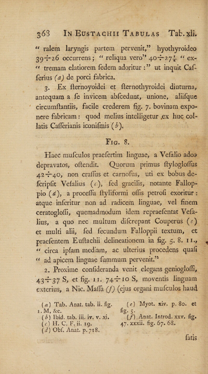 u ralem laryngis partem pervenit,” hyothyroideo 39*7-26 occurrens; “ reliqua vero” 40-7*274* “ ex- “ tremam elatiorem fedem adoritur ut inquit Caf- ferius (a) de porci fabrica. 3. Ex fternoyoidei et fternothyroidei diuturna, antequam a fe invicem abfcedunt, unione, aliifque circumflandis, facile crederem fig. 7. bovinam expo¬ nere fabricam: quod melius inteliigetur .ex huc col¬ laris Caflerianis iconifmis (£), Fig. 8. Haec mufculos praefertim linguae, a Vefalio adeo depravatos, offendit. Quorum primus flylogloffus 42- 7*40, non crafliis et carnofus, uti ex bobus de- fcripfit Velalius (c), fed gracilis, notante Fallop- pio ($'), a proceflli flyliformi offis petrofi exoritur: atque inferitur non ad radicem linguae, vel finem ceratogloffi, quemadmodum idem repraefentat Vefa- lius, a quo nec multum difcrepant Couperus (e) et multi alii, fed fecundum Falloppii textum, et praefentem Euflachii delineationem in fig. 5. 8. 11., “ circa ipfam mediam, ac ulterius procedens quafi (e ad apicem linguae fummum pervenit.” 2. Proxime conflderanda venit elegans geniogloffi, 43- 7-378, et fig. 11. 74-rioS, moventis linguam exterius, a Nic. Maffia (f) (ejus organi mufculos haud (a) Tab. Anat. tab. ii. fig. 1. M, &c. (b) Ibid,, tab. iii. iv. v. xi. {c) H. C. F. ii. 19. \d) Obf. Anat. p. 718. [e) Myot. siv. p. 80. et %• 5- (f) Anat. Introd. xxv. fig. 47. xxxii. fig. 67. 68. fatis