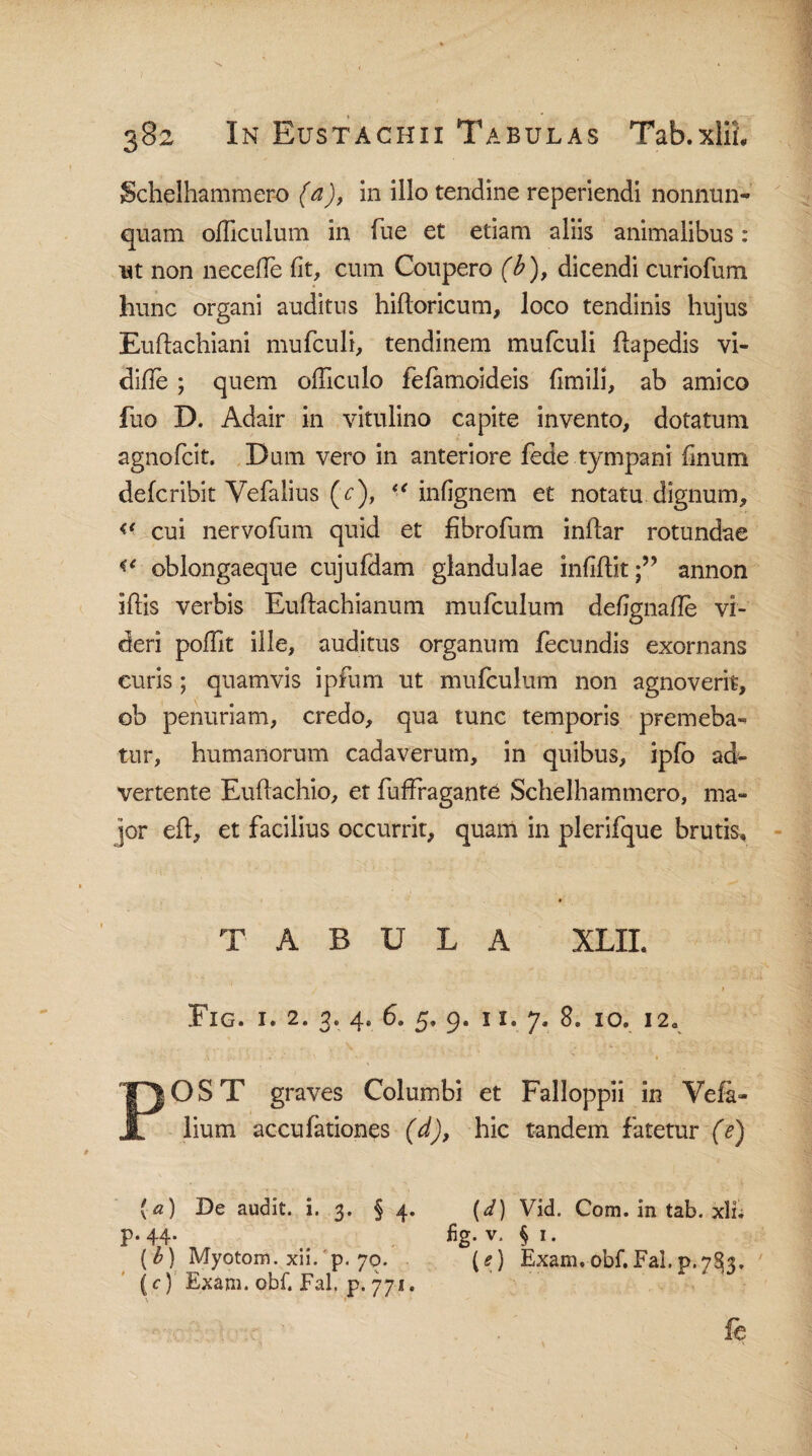 Schelhammer-o (a), in illo tendine reperiendi nonnun- quam officulum in Tue et etiam aliis animalibus: ut non necefle fit, cum Coupero (b), dicendi curiofum hunc organi auditus hiftoricum, loco tendinis hujus Euftachiani mufculi, tendinem mufculi flapedis vi- difle ; quem ofTiculo fefamoideis fimili, ab amico fuo D. Adair in vitulino capite invento, dotatum agnofcit. Dum vero in anteriore fede tympani finum defcribit Vefalius (c), l< infignem et notatu dignum, <* cui nervofum quid et fibrofum inflar rotundae oblongaeque cujufdam glandulae infiflit;” annon iftis verbis Euftachianum mufculum defignafle vi¬ deri poflit ille, auditus organum fecundis exornans curis; quamvis ipfum ut mufculum non agnoverit, ob penuriam, credo, qua tunc temporis premeba^ tur, humanorum cadaverum, in quibus, ipfo aA- vertente Euflachio, et fuffragante Schelhammero, ma¬ jor eft, et facilius occurrit, quam in plerifque brutis» TABULA XLXL Fig. i. 2. 3. 4. 6« 5. 9. 11. 7. 8. 10. 12. POST graves Columbi et Falloppii in Vefa- lium accufationes (d), hic tandem fatetur (e) {a) De audit, i. 3. § 4. (J) Vid. Com. in tab. xlf- p. 44. fig. v. § 1. [b) Myotom. xii. p. 70. {e) Exam.obf.FaLp.7^3. (c) Exam. obf. Fal. p. 771.