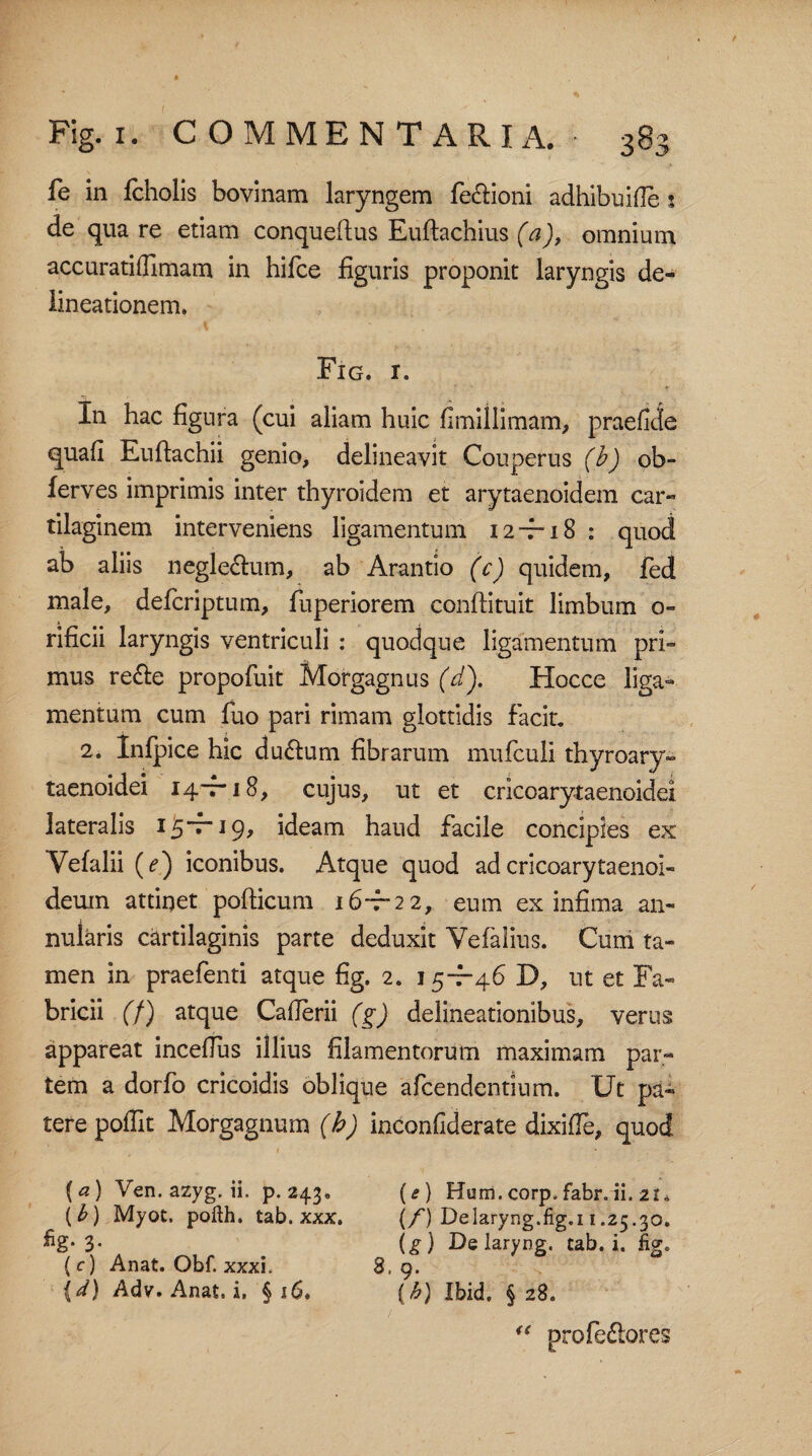 fe in fcholis bovmam laryngem fe&ioni adhibuifie s de qua re etiam conqueftus Euftachius (a), omnium accuratidimam in hifce figuris proponit laryngis de¬ lineationem. Fig. r. In hac figura (cui aliam huic fimillimam, praefide quafi Euftachii genio, delineavit Couperus (b) ob- ferves imprimis inter thyroidem et arytaenoidem car¬ tilaginem interveniens ligamentum 12-7-18 : quod ab aliis negle&um, ab Arantio (c) quidem, fed male, defcriptum, fuperiorem conftituit limbum o- rificii laryngis ventriculi : quodque ligamentum pri¬ mus refie propofuit Morgagnus (/). Hocce liga¬ mentum cum fuo pari rimam glottidis facit. 2. Infpice hic du6lum fibrarum mulculi thyroary- taenoidei 14-7*18, cujus, ut et crlcoarytaenoide! lateralis 15-7-19, ideam haud facile concipies ex Vefalii (^) iconibus. Atque quod ad cricoarytaenol- deum attinet pofticum 16-7-22, eum ex infima an¬ nularis cartilaginis parte deduxit Yefalius. Cum ta¬ men in praefenti atque fig. 2. 15-7-46 D, ut et Fa¬ bricii (/) atque Cafierii (g) delineationibus, verus appareat incefius illius filamentorum maximam par¬ tem a dorfo cricoidis oblique afcendentium. Ut pa¬ tere pofiit Morgagnum (h) inconiiderate dixifle, quod * (a) Ven. azyg. ii. p. 243. (e) Hum. corp» fabr. ii. 2t. {b) Myot. pofth. tab. xxx. (/) Delaryng.fig.i 1.25.30. %• 3- ^ ig) De laryng. tab. i. fig. ( c) Anat. Obf. xxxi. 8. 9. {d) Adv. Anat. i. §16. (b) Ibid. §28. u profe&ores