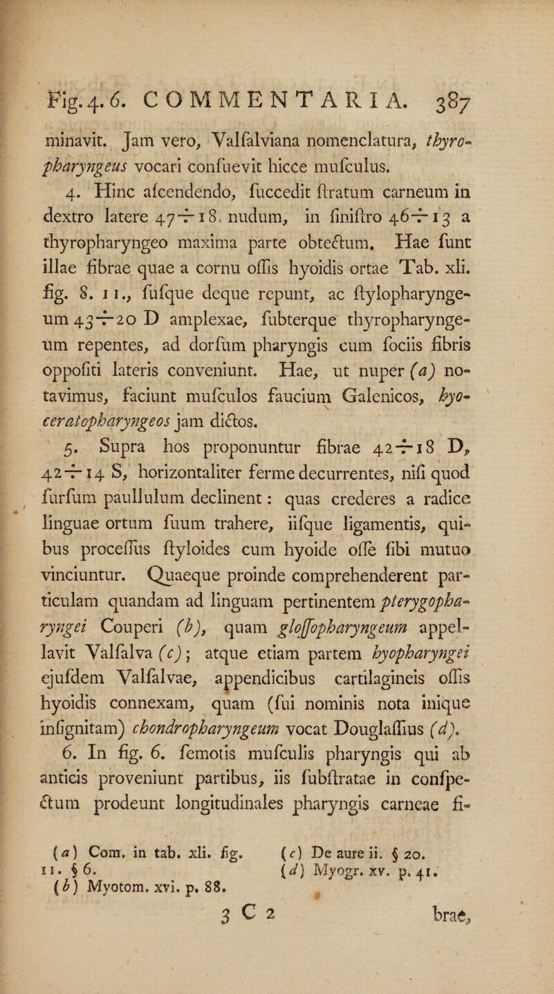 minavit. Jam vero, Yalfalviana nomenclatura, thyro¬ pharyngeus vocari confli e vit hicce mufculus. 4. Hinc afcendendo, fuccedit ftratum carneum in dextro latere 47 -f-18 nudum, in finiftro 46-7-13 a thyropharyngeo maxima parte obtectum. Hae funt illae fibrae quae a cornu oflis hyoidis ortae Tab. xli. fig. 8. 11., fufque deque repunt, ac ftylopharynge- um 43-720 D amplexae, fubterque thyropharynge¬ um repentes, ad dorfum pharyngis cum fociis fibris oppofiti lateris conveniunt. Hae, ut nuper (a) no¬ tavimus, faciunt mufculos faucium Galenicos, byo- ceratopharyngeos jam dictos. 5. Supra hos proponuntur fibrae 42-r i8 DP 42-7-14 S, horizontaliter ferme decurrentes, nifi quod furfum pauliulum declinent: quas crederes a radice linguae ortum fuum trahere, iifque ligamentis, qui¬ bus procefliis fiyloides cum hyoide ode fibi mutuo vinciuntur. Quaeque proinde comprehenderent par¬ ticulam quandam ad linguam pertinentem pterygopha¬ ryngei Couperi (b), quam glojfopharyngeum appel¬ lavit Valfalva (7); atque etiam partem hyopharyngei ejufdem Valfalvae, appendicibus cartilagineis offis hyoidis connexam, quam (fui nominis nota inique in (ignitam) chondropharyngeum vocat Douglaffius (d). 6. In fig. 6. femotis mufculis pharyngis qui ab anticis proveniunt partibus, iis fubflratae in confpe- £fum prodeunt longitudinales pharyngis carneae fi® [a) Com. in tab. xli. fig. (r) De aure ii. §20. u» §6. (d) Myogr. xv. p. 41; (b) Myotom. xvi, p. SS. 3 C 2 brae,