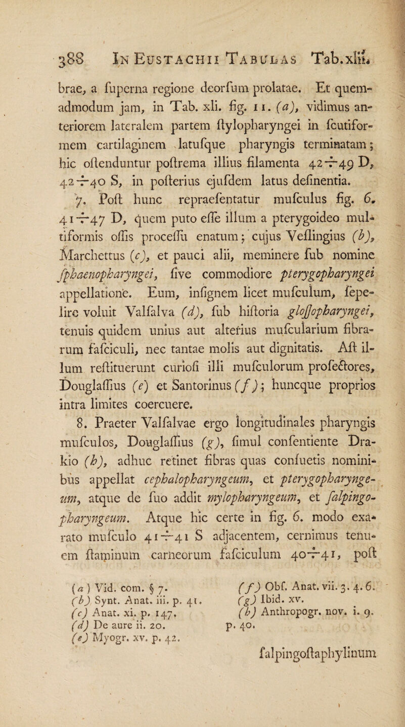 388 InEustachii Tabxtlas Tab.xilL brae, a fuperna regione deorfum prolatae. Et quem¬ admodum jam, in Tab. xli. fig. 11. (a), vidimus an¬ teriorem lateralem partem ftylopharyngei in fcutifor- mem cartilaginem latufque pharyngis terminatam; hic oftenduntur poftrema illius filamenta 42-7-49 D, 42-7-40 $, in pofterius ejufdem latus delinentia. 7. Pofl hunc repraefentatur mufculus fig. 6„ 4.1-7-47 D, quem puto efie illum a pterygoideo mul¬ tiformis ollis procellit enatum; cujus Yellingius (h)9 Marchettus (c), et pauci alii, meminere fub nomine fpbaenopharyngei, five commodiore pterygopharyngei appellatione. Eum, inlignem licet mufculum, fepe- liro voluit Yalfalva (d), fub hiftoria glojjopharyngei, tenuis quidem unius aut alterius mufcularium fibra¬ rum fafciculi, nec tantae molis aut dignitatis. Aft il¬ lum reftituerunt curioli illi mufculorum profe&ores, Douglalfius (e) et Santorinus (f); huncque proprios intra limites coercuere. 8. Praeter Valfalvae ergo longitudinales pharyngis mufculos, Douglalfius (g), limul confentiente Dra- kio (h), adhuc retinet fibras quas conluetis nomini¬ bus appellat cephalopharyngeum, et pterygopharynge¬ um, atque de fuo addit mylopharyngeum, et falpingo- pharyngeum. Atque hic certe in fig. 6. modo exa¬ rato mufculo 41-7-41 S adjacentem, cernimus tenu¬ em flaminum carneorum fafciculum 40-7-41, poft (a ) Vid. com. § 7. (b) Synt. Anat. iii. p. 41. (c) Anat. xi. p. 147. (d) De aure ii. 20. (e) Myogr. xv. p. 42. (f) Obf. Anat. vii. 3. 4. 6. (g) Ibid. xv. (h) Anthropogr. nov. i. 9. p. 40. f alpi ngoftaphy li nu m