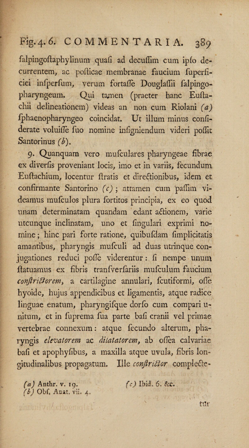 falpingoftaphylinum quafi ad decuffim cum ipfo de¬ currentem, ac poflicae membranae faucium fuperfi- ciei infperfum, verum fortafie Douglaffii falpingo- pharyngeum. Qui tajmen (praeter hanc Eufta- chii delineationem) videas an non cum Riolani (a) Iphaenopharyngeo coincidat. Ut illum minus confi- derate voluifle fuo nomine infigniendum videri poffit Santorinus (b), 9. Quanquam vero mufculares pharyngeae fibrae ex diverfis proveniant locis, imo et in variis, fecundum Euftachium, locentur ftratis et directionibus, idem et confirmante Santorino (c) ; attamen cum 'pafiim vi¬ deamus mufculos plura fortitos principia, ex eo quod unam determinatam quandam edant a&ionem, varie utcunque inclinatam, uno et lingulari exprimi no- mine; hinc pari forte ratione, quibufdam fimplicitatis amantibus, pharyngis mufculi ad duas utrinque con¬ jugationes reduci pofie viderentur: fi nempe unum jftatuarnus ex fibris tranfverfariis mufculum faucium conftriftorem9 a cartilagine annulari, fcutiformi, ofie hyoide, hujus appendicibus et ligamentis, atque radice linguae enatum, pharyngifque dorfo cum compari li¬ nitum, et in fuprema fua parte bafi cranii vel primae vertebrae connexum: atque fecundo alterum, pha¬ ryngis elevatorem ac dilatatorem, ab ofiea calvariae bafi et apophyfibus, a maxilla atque uvula, fibris lon¬ gitudinalibus propagatum* Ille conftriffior comple&c- (a) Anthr. v. 19. (c) IbkL 6» &c. (bJ Obf, Anat. vii. 4, / v ' tnr