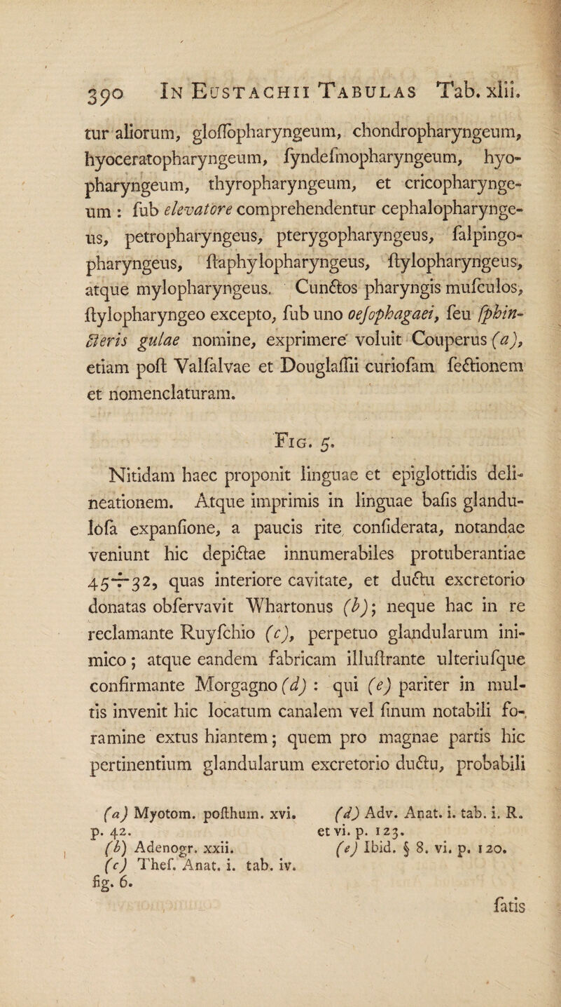 39° tur aliorum, gloflopharyngeum, chondropharyngeum, hyoceratopharyngeum, fyndeimopharyngeum, hyo- pharyngeum, thyropharyngeum, et cricopharynge¬ um : fub elevatore comprehendentur cephalopharynge- us, petropharyngeus, pterygopharyngeus, falpingo- pharyngeus, ftaphylopharyngeus, ftylopharyngeus, atque mylopharyngeus, Cun&os pharyngis mufculos, ftylopharyngeo excepto, fub uno oejophagaei, feu fphin- oferis gulae nomine, exprimere voluit Couperus (a), etiam poft Valfalvae et DouglaiTii curiofam fe&ionem et nomenclaturam. Fig. 5. Nitidam haec proponit linguae et epiglottidis deli¬ neationem. Atque imprimis in linguae bafis glandu- lofa expanfione, a paucis rite confiderata, notandae veniunt hic depi&ae innumerabiles protuberandae 45-7-32, quas interiore cavitate, et dufhi excretorio donatas obfervavit Whartonus (b)\ neque hac in re reclamante Ruyfchio (c), perpetuo glandularum ini¬ mico ; atque eandem fabricam illuftrante ulteriufque confirmante Morgagno (d) : qui (Y) pariter in mul¬ tis invenit hic locatum canalem vel finum notabili fo¬ ramine extus hiantem; quem pro magnae partis hic pertinentium glandularum excretorio duftu, probabili (a) Myotom. pofthum. xvi. (d) Adv. Anat. i. tab. i, R. p. 42. et vi. p. 123. (b) Adenogr. xxii. (e) Ibid. § 8. vi. p. 120. (c) Thef. Anat. i. tab. iv. fig. 6.