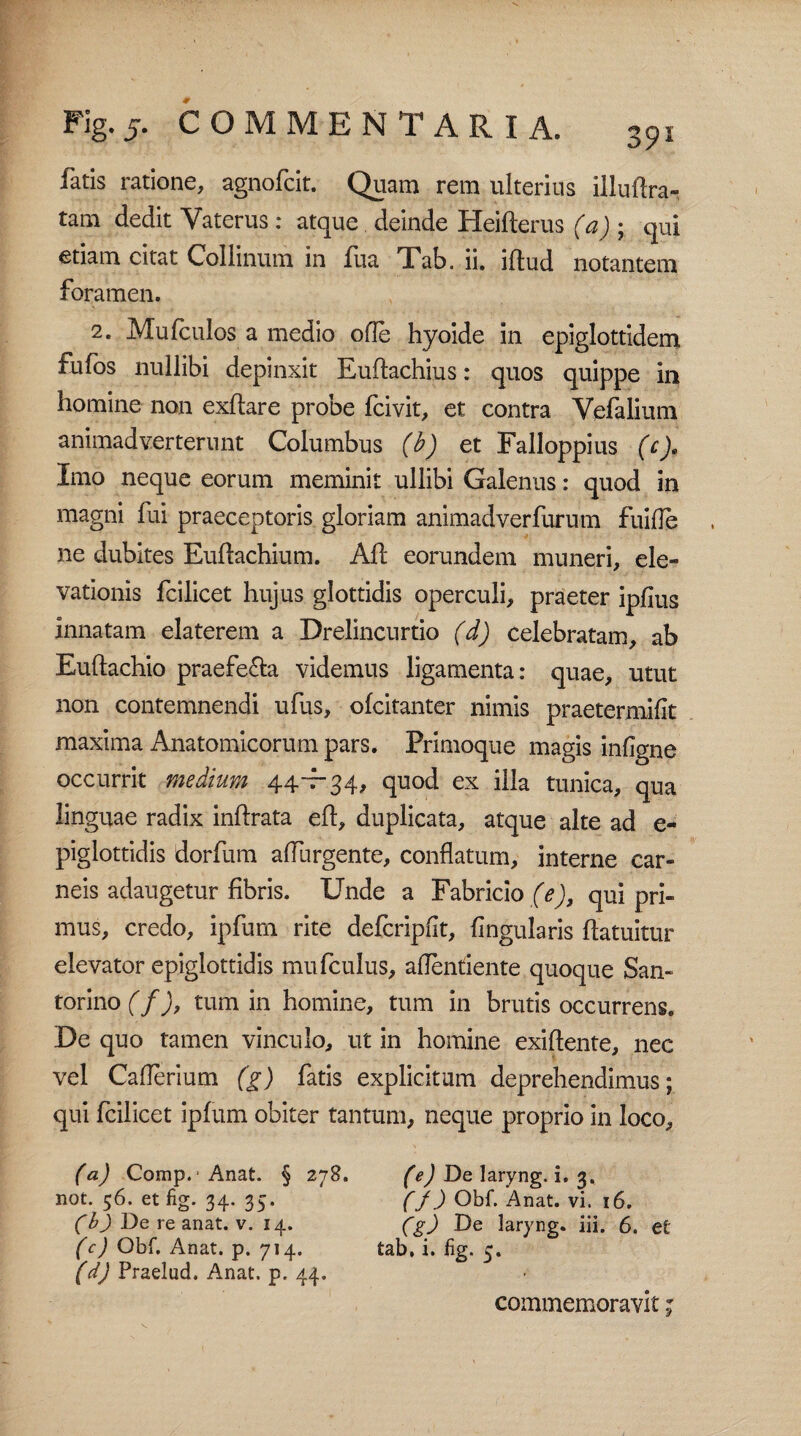 fatis ratione, agnofcit. Quam rem ulterius illuflra- tam dedit Vaterus : atque deinde Heifterus (a); qui etiam citat Collinum in fua Tab. ii. iftud notantem foramen. 2. Mufculos a medio olle hyoide in epiglottidem fufbs nullibi depinxit Euftachius: quos quippe in homine non exffare probe fcivit, et contra Vefalium animadverterunt Columbus (b) et Falloppius (e). Imo neque eorum meminit ullibi Galenus: quod in magni fui praeceptoris gloriam animadverfurum fuifle ne dubites Euflachium. Aft eorundem muneri, ele¬ vationis fcilicet hujus glottidis operculi, praeter ipfius innatam elaterem a Drelincurtio (d) celebratam, ab Euftachio praefe&a videmus ligamenta: quae, utut non contemnendi ufus, ofcitanter nimis praetermifit maxima Anatomicorum pars. Primoque magis infigne occurrit medium 44—34, quod ex illa tunica, qua linguae radix inftrata eft, duplicata, atque alte ad e- piglottidis dorfum alfurgente, conflatum, interne car¬ neis adaugetur fibris. Unde a Fabricio (e), qui pri¬ mus, credo, ipfurn rite defcripfit, lingularis flatuitur elevator epiglottidis mufculus, aflentiente quoque San- torino (f), tum in homine, tum in brutis occurrens. De quo tamen vinculo, ut in homine exiftente, nec vel Caflerium (g) fatis explicitum deprehendimus; qui fcilicet ipfurn obiter tantum, neque proprio in loco, (a) Comp.-Anat. § 278. (e) De laryng, i. 3, not. 56. et fig. 34. 35. (/) Obf. Anat. vi. 16. (b) De re anat. v. 14. (g) De laryng. iii. 6. ei (c) Obf. Anat. p. 714. tab. i. fig. 5. (d) Praelud. A.nat. p. 44, commemoravit;