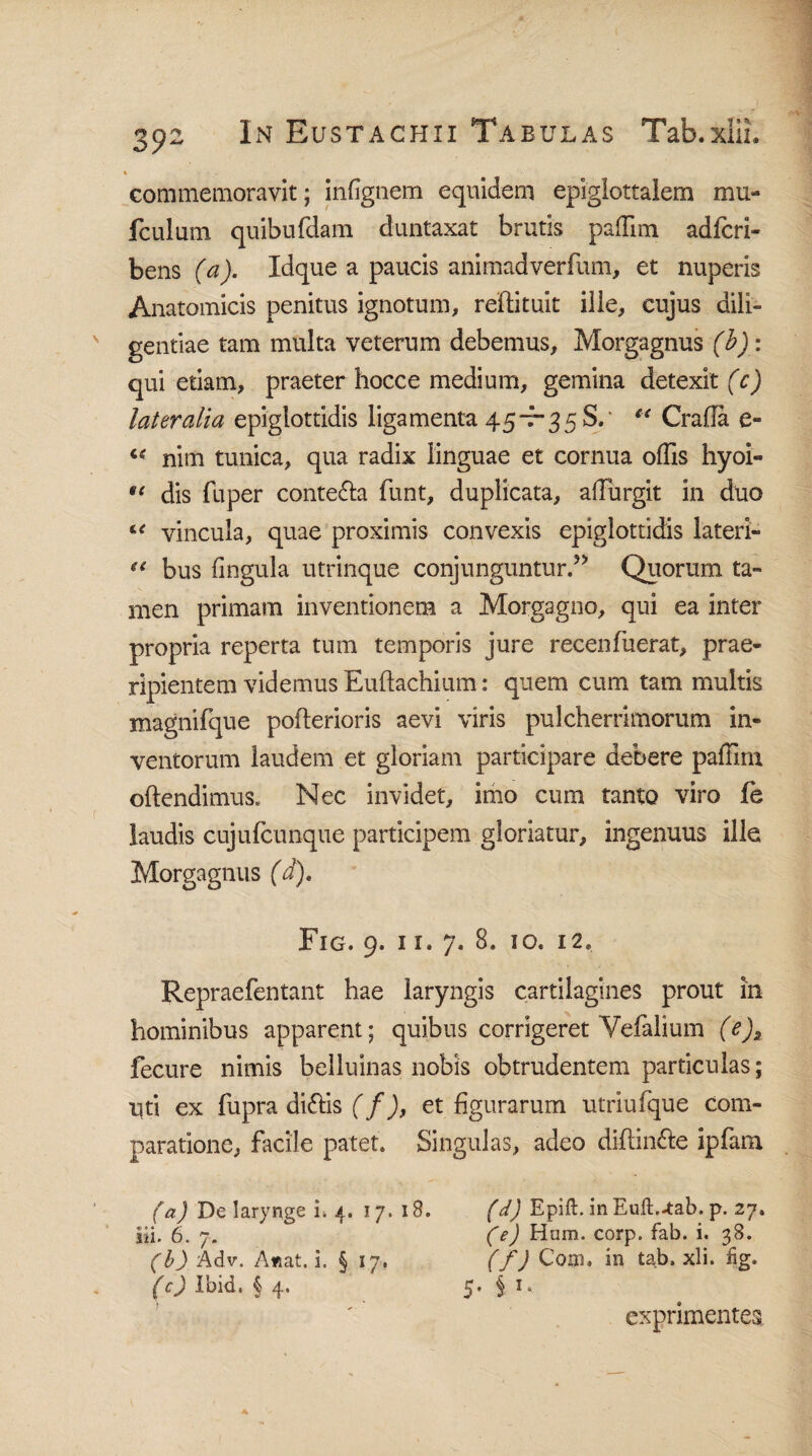 ce «e te ee 392 In Eustachii Tabulas Tab.xIIL commemoravit; infignem equidem epiglottalem mu- fculum quibufdam duntaxat brutis paffim adfcri- bens (a). Idque a paucis animadverfum, et nuperis Anatomicis penitus ignotum, reftituit ille, cujus dili¬ gentiae tam multa veterum debemus, Morgagnus (b): qui etiam, praeter hocce medium, gemina detexit (c) lateralia epiglottidis ligamenta 45-7-358/ “ Crada e- nim tunica, qua radix linguae et cornua offis hyoi- dis fu per conte&a funt, duplicata, alTurgit in duo vincula, quae proximis convexis epiglottidis lateri¬ bus lingula utrinque conjunguntur.” Quorum ta¬ men primam inventionem a Morgagno, qui ea inter propria reperta tum temporis jure recenfuerat, prae¬ ripientem videmus Euftachium: quem cum tam multis magnifque pofterioris aevi viris pulcherrimorum in¬ ventorum laudem et gloriam participare debere paffim oftendimus. Nec invidet, imo cum tanto viro fe laudis cujufcunque participem gloriatur, ingenuus ille Morgagnus (d). Fig. 9. 11. 7. 8. 10. 12. Repraefentant hae laryngis cartilagines prout m hominibus apparent; quibus corrigeret Yefalium (e)s fecure nimis belluinas nobis obtrudentem particulas; Uti ex fupra di&is (f), et figurarum utriufque com¬ paratione, facile patet. Singulas, adeo diftin&e ipfam (a) De larynge L 4, 17.18. «• • / Sii. o. 7. (b) Adv. Attat, i. § 17. (c) ibid. § 4. (d) Epift. inEuft.4:ab. p. 27. (e) Ham. corp. fab. i. 38. (f) Coni, in tab. xli. fig. 5- 5 exprimentes