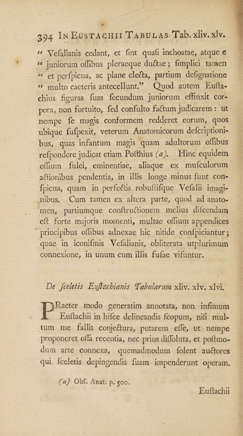 “ Vefalianis cedant, et fint quafi inchoatae, atque e u juniorum offibus pleraeque du&ae; fimplici tamen “ et perfpicua, ac plane ele&a, partium defignatione “ multo caeteris antecellunt.” Quod autem Eufta- chiiis figuras fiias fecundum juniorum effinxit cor¬ pora, non fortuito, fed confulto fa&um judicarem : ut nempe fe magis conformem redderet eorum, quos ubique fufpexit, veterum Anatomicorum defcriptioni- bus, quas infantum magis quam adultorum offibus refpondere judicat etiam Poffchius (a). Hinc equidem offium fulci, eminendae, aliaque ex mufculorum asionibus pendentia, in illis longe minus funt con- fpicua, quam in perfe&is robuffifque Yefalii imagi¬ nibus. Cum tamen ex altera parte, quod ad anato- men, partiumque conftru&ionem melius difcendam elt forte majoris momenti, multae offium appendices principibus offibus adnexae hic nitide confpiciantur; quae in iconifmis Vefalianis, obliterata utplurimum connexione, in unum cum illis fufae vifuntur. De Ji'celetis Eujlachianis Tabularum xliv. xlv. xlvL 'PjRaeter modo generarim annotata, non infimum ii Euffachii in hifce delineandis fcopum, nili mul¬ tum me fallit conjectura, putarem efe, ut nempe proponeret ofla recentia, nec prius difloluta, et poffmo- dum arte connexa, quemadmodum folent auclores qui fceletis depingendis fuam impenderunt operam. (a) Obf. Anat, p. 500. Euffachii
