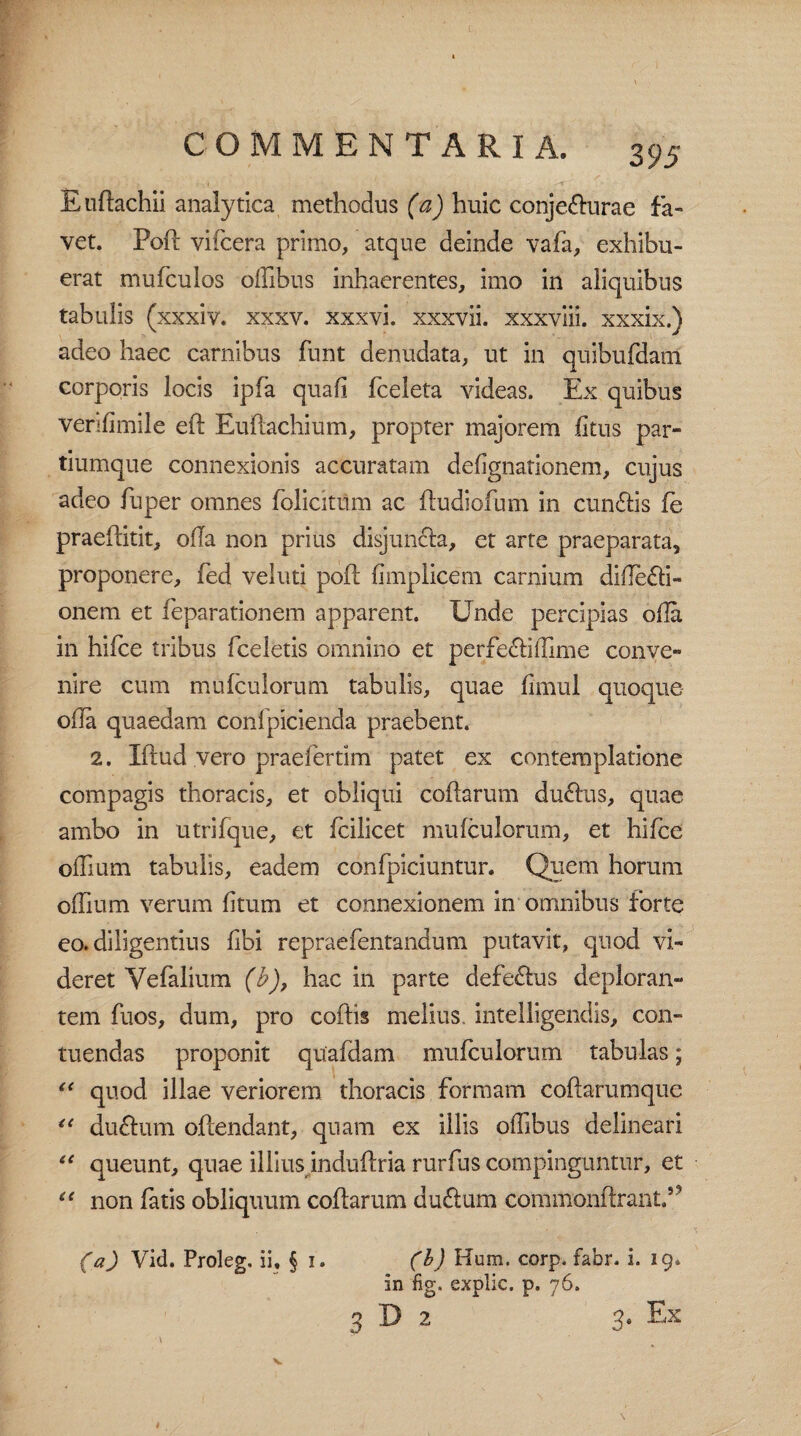 COMMENTARIA. 3 95 Euftachii analytica methodus (a) huic conje&urae fa¬ vet. Poft vifcera primo, atque deinde vafa, exhibu¬ erat mufculos offibus inhaerentes, imo in aliquibus tabulis (xxxiv. xxxv. xxxvi. xxxvii. xxxviii. xxxix.) adeo haec carnibus funt denudata, ut in quibufdani corporis locis ipfa quali fceleta videas. Ex quibus venfimile eft Euftachium, propter majorem fftus par¬ tiumque connexionis accuratam deffgnationem, cujus adeo fuper omnes foliatum ac ftudiofum in cun&is fe praeftitit, offa non prius disjunfta, et arte praeparata, proponere, fed veluti poft fimplicem carnium diffe&i- onem et feparationem apparent. Unde percipias offa in hifce tribus fceletis omnino et perfecti (Time conve¬ nire cum mufculorum tabulis, quae fimul quoque offa quaedam confpicienda praebent. 2. Iftud vero praeferrim patet ex contemplatione compagis thoracis, et obliqui coftarum duftus, quae ambo in utrifque, et fcilicet mufculorum, et hifce offium tabulis, eadem confpiciuntur. Quem horum offium verum fitum et connexionem in omnibus forte eo. diligentius fibi repraefentandum putavit, quod vi¬ deret Vefalium (b), hac in parte defe£tus deploran¬ tem fuos, dum, pro coftis melius, intelligendis, con¬ tuendas proponit quafdam mufculorum tabulas; “ quod illae veriorem thoracis formam coftarumque tl du&um offendant, quam ex illis offibus delineari “ queunt, quae illius induftria rurfus compinguntur, et “ non fatis obliquum coftarum duftum commonftrant5' (a) Vid. Proleg. ii, § i. (b) Hem. corp. fabr. i. 19. in fig, explic. p. 76. 3 D 2