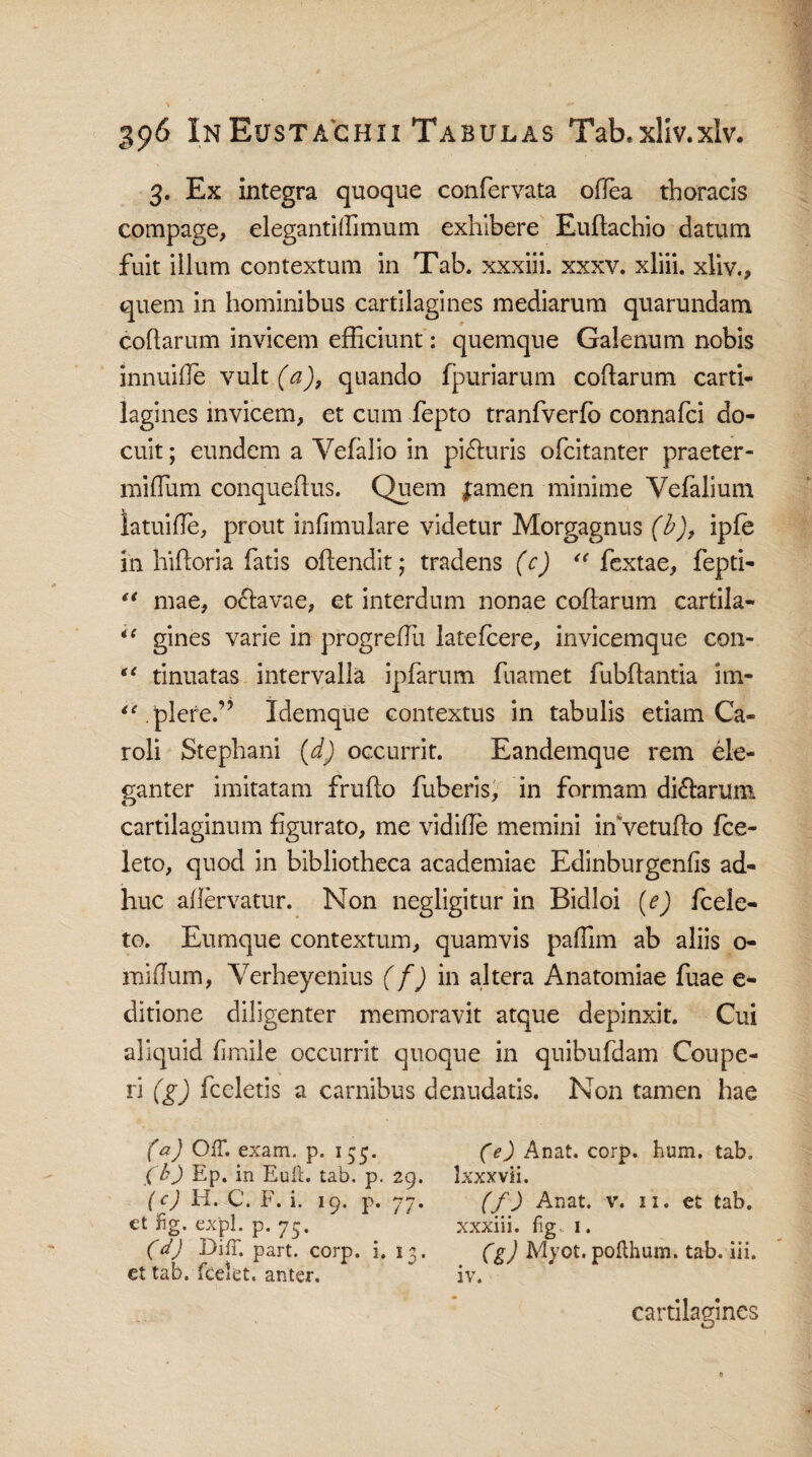 3. Ex integra quoque confervata odea thoracis compage, elegantidimum exhibere Eullachio datum fuit illum contextum in Tab. xxxiii. xxxv. xliii. xliv., quem in hominibus cartilagines mediarum quarundam collarum invicem efficiunt: quemque Galenum nobis innuide vult (a), quando fpuriarum collarum carti¬ lagines invicem, et cum fepto tranfverfb connafci do¬ cuit; eundem a Vefalio in pi£luris ofcitanter praeter- midum conquellus. Quem |amen minime Vefalium latuide, prout infimulare videtur Morgagnus (b)t iple in hilloria fatis oftendit; tradens (c) “ fextae, fepti- “ mae, o&avae, et interdum nonae collarum cartila¬ gines varie in progreffii latelcere, invicemque con¬ tinuatas intervalla ipfarum fuamet fubllantia irn- “ plere.” Idemque contextus in tabulis etiam Ca- roli Stephani (d) occurrit. Eandemque rem ele¬ ganter imitatam frullo fuberis, in formam di£larum cartilaginum figurato, me vidille memini inVetudo fce- leto, quod in bibliotheca academiae Edinburgenfis ad¬ huc allervatur. Non negligitur in Bidloi (e) fcele- to. Eumque contextum, quamvis palfim ab aliis o- midum, Yerheyenius (f) in altera Anatomiae fuae e- ditione diligenter memoravit atque depinxit. Cui aliquid fi mile occurrit quoque in quibufdam Cou pe¬ ri (g) fccletis a carnibus denudatis. Non tamen hae iC ii (a) Off. exam. p. 155. (b) Ep. in Eult. tab. p. 29. (c) H. C. F. i. 19. p. 77. et fig. expl. p. 75. (d) Diff. part. corp. i. 13. et tab. (celet, anter. (e) Anat. corp. hum. tab. 1 xxx vi i. (f) Anat. v. 11. et tab. xxxiii. fig 1. (g) Myot. pollhum. tab. iii. iv. cartilagines