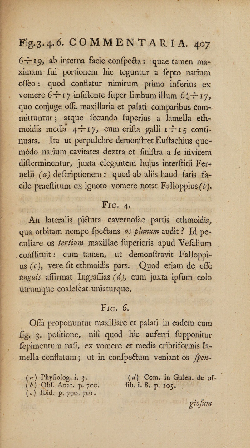 6-7-19, ab interna facie confpe&a : quae tamen ma¬ ximam fui portionem hic teguntur a fepto narium odeo: quod conflatur nimirum primo inferius ex vomere 67-17 infidente fuper limbum illum 64-r* 17, quo conjuge oda maxillaria et palati comparibus com¬ mittuntur ; atque fecundo fuperius a lamella eth- moidfs media 47-17, cum crida galli 1-7-15 conti¬ nuata. Ita ut perpulchre demondret Eudachius quo¬ modo narium cavitates dextra et finidra a fe invicem diderminentur, juxta elegantem hujus interdidi Fer- nelii (a) defcriptionem : quod ab aliis haud fatis fa¬ cile praeditum ex ignoto vomere notat Falloppiusf^). Fig. 4. An lateralis pi£tura cavernofae partis ethmoidis, qua orbitam nempe fpe&ans os 'planum audit ? Id pe¬ culiare os Urtium maxillae fuperioris apud Vefalium . confhtuit: cum tamen, ut demondravit Falloppi- us (c), vere fit ethmoidis pars. Quod etiam de ode unguis affirmat Ingraffias (d), cum juxta ipfum colo utrumque coalefcat uniaturque. Fig. 6» Oda proponuntur maxillare et palati in eadem cum fig, 3. podtione, nid quod hic auferri fupponitur fepimentum nad, ex vomere et media cribriformis la¬ mella conflatum; ut in confpe&um veniant os Jpon- (a) Phyfiolog. i. 3. (d) Com. in Galen. de of- ( b ) Obf. Anat. p. 700. fib. i. 8, p. 105. (0 Ibid. p. 790. 701. gioftrn