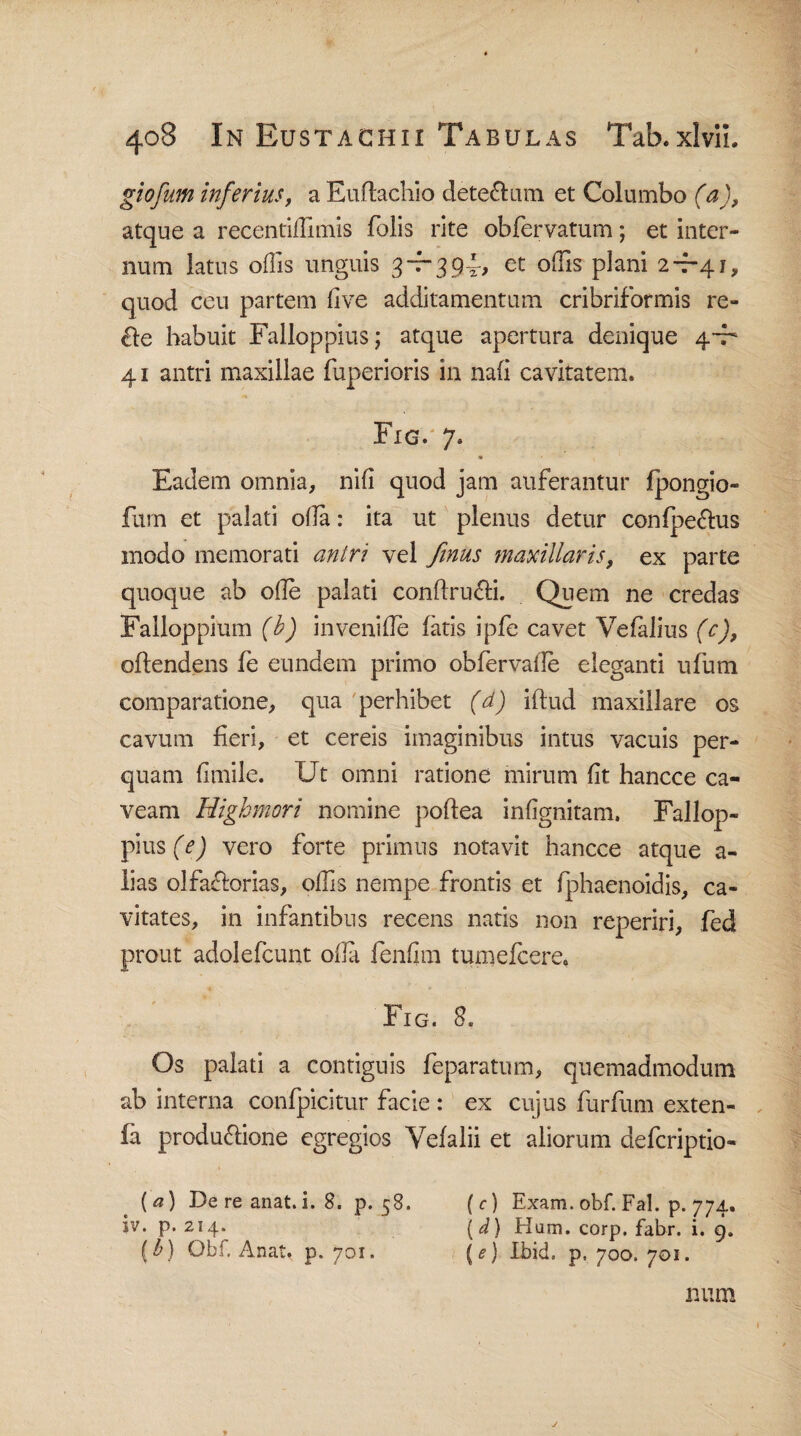 giofum inferius, a Euftachio deteCtum et Columbo (a), atque a recentidimis folis rite obfervatum; et inter¬ num latus offis unguis 3~r-39i, et odis plani 2-7-41, quod ceu partem live additamentum cribriformis re¬ cte habuit Falloppiusj atque apertura denique 4-7* 41 antri maxillae fuperioris in nafi cavitatem. Fig. 7. Eadem omnia, nifi quod jam auferantur fpongio- furn et palati oda: ita ut plenus detur confpeCtus modo memorati antri vel finus maxillaris, ex parte quoque ab ode palati conftruCti. Quem ne credas Falloppium (b) invenide fatis ipfe cavet Vefalius (c), oftendens fe eundem primo obfervalle eleganti ufum comparatione, qua perhibet (d) idud maxillare os cavum feri, et cereis imaginibus intus vacuis per¬ quam fimile. Ut omni ratione mirum fit hancce ca¬ veam Highmori nomine poftea infignitam, Fallop- piusfU vero forte primus notavit hancce atque a- lias olfactorias, olfis nempe frontis et fphaenoidis, ca¬ vitates, in infantibus recens natis non reperiri, fed prout adolefcunt oda fenfim tumefcere. Fig. 8. Os palati a contiguis feparatum, quemadmodum ab interna confpicitur facie : ex cujus furfum exten- fa produCtione egregios Vefalii et aliorum defcriptio- {a) De re anat.i. 8. p. 58. (c) Exam. obf. Fal. p. 774. iv. p. 214. ( d) Hum. corp. fabr. i. 9. (C) Obf. Anat. p. 701. {e) Ibid. p. 700. 701. num