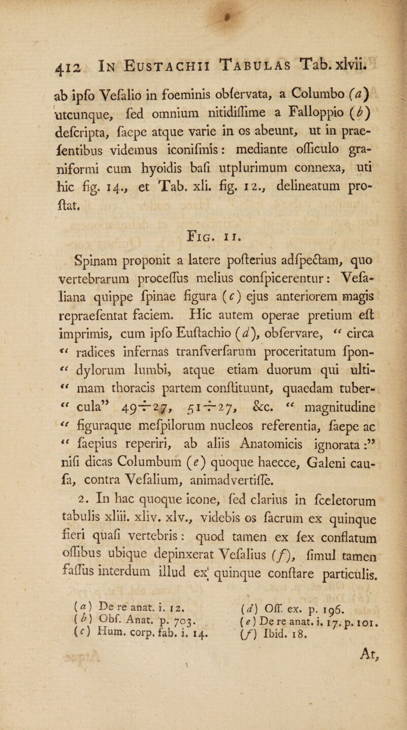 ab ipfo Yefalio in foeminis obfervata, a Columbo (a) utcunque, fed omnium nitidiflime a Falloppio {i?) defcripta, facpe atque varie in os abeunt, ut in prae- fentibus videmus iconifmis: mediante ofliculo gra- niformi cum hyoidis bafi utplurimum connexa, uti hic fig. 14., et Tab. xli. fig. 12., delineatum pro¬ flat, Fig. ii. Spinam proponit a latere poflerius adfpe£lam, quo vertebrarum procediis melius confpicerentur: Vefa- liana quippe fpinae figura (c) ejus anteriorem magis repraefentat faciem. Hic autem operae pretium efl imprimis, cum ipfo Euftachio (<i), obfervare, <c circa radices infernas tranfverfarum proceritatum fpon- “ dylorum lumbi, atque etiam duorum qui ulti- “ mam thoracis partem conftituunt, quaedam tuber- “ cula” 49”—2 7, 51-7-27, &c. “ magnitudine u figuraque mefpilorum nucleos referentia, faepe ac “ faepius reperiri, ab aliis Anatomicis ignorata nifi dicas Columbum (*) quoque haecce, Galeni cau- fa, contra Vefalium, animadvertifie. 2. In hac quoque icone, fed clarius in fceletorum tabulis xliii. xliv. xlv., videbis os facrum ex quinque fieri qnafi vertebris: quod tamen ex fex conflatum oflibus ubique depinxerat Vefalius (/), fimui tamen fairus interdum illud ex quinque conflare particulis. ia) De re anat. i. 12. (d) Off. ex. p. 195. [h) Obf. Anat. p. 703. (e) De re anat. i, 17. p. 101. (0 Hum. corp. fab. i. 14. (/) Ibid. 18. At,