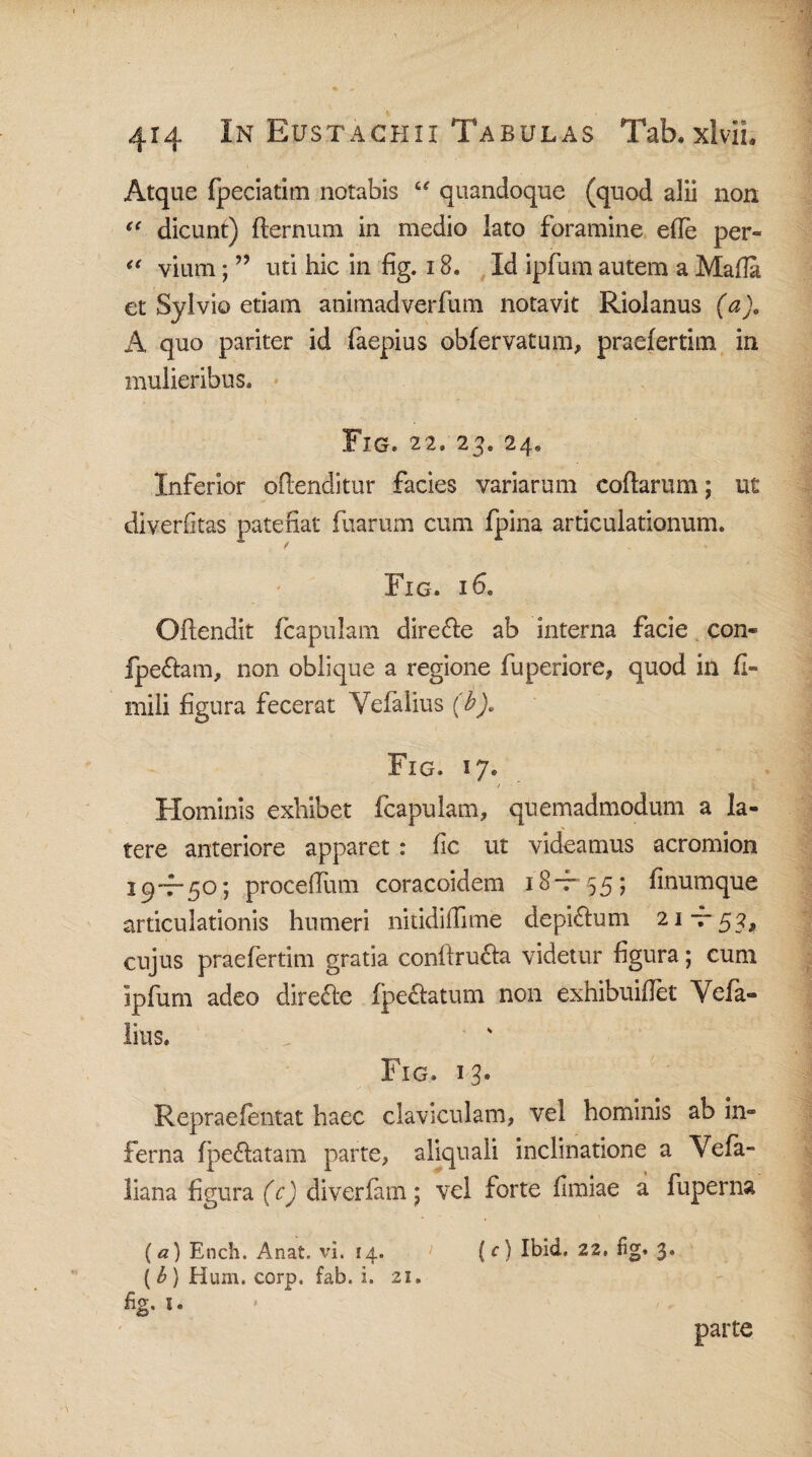 Atque Ipeciatim notabis “ quandoque (quod alii non “ dicunt) fternum in medio lato foramine efle per- “ vium; ” uti hic in fig. 18, Id ipfum autem a Malia et Sylvio etiam animadverfum notavit Riolanus (a), A quo pariter id faepius oblervatum, praefertim in mulieribus* Fig. 22. 24« Inferior offenditur facies variarum collarum; ut diverfitas patefiat fiuarum cum fpina articulationum. Fig. 16. Ollendit icapulam dire&e ab interna facie con- fpe&am, non oblique a regione fuperiore, quod in fi¬ mi li figura fecerat Yelalius (b). Fig. 17. Flominis exhibet fcapulam, quemadmodum a la¬ tere anteriore apparet: fic ut videamus acromion 19-7-50; procefium coracoidem 18*7-55; finumque articulationis humeri nitidiffime depidium 21 t 5^ cujus praefertim gratia conlfru&a videtur figura; cum ipfum adeo dire&e fpe&atum non exhibuifiet Vefa- litis. Fig. 13. Repraefentat haec claviculam, vel hominis ab in¬ ferna fpe&atam parte, aliquali inclinatione a Vela- liana figura (c) diverfam; vel forte fimiae a fuperna (a) Ench. Anat. vi. 14. (c) Ibid, 22, ng. 3. (b) Hum. corp. fab. i. 21» fig. 1. parte