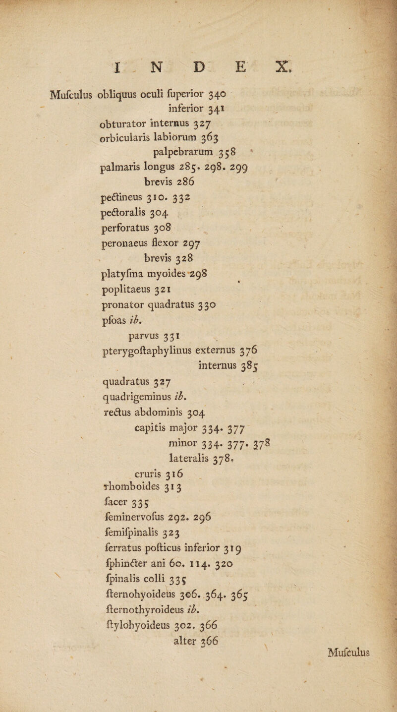 Mufculus obliquus oculi fuperior 340 inferior 341 obturator internus 327 orbicularis labiorum 363 palpebrarum 358 palmaris longus 285. 298. 299 brevis 286 pe&ineus 310. 332 pe&oralis 304 perforatus 308 peronaeus flexor 297 brevis 328 platyfma myoides 298 poplitaeus 321 pronator quadratus 330 pfoas ib. parvus 331 pterygoftaphylinus externus 376 internus 385 quadratus 327 quadrigeminus ib. re&us abdominis 304 capitis major 334. 377 minor 334. 377. 378 lateralis 378. cruris 316 rhomboides 31 3 facer 335 feminervofus 292. 296 femilpinalis 323 ferratus pofticus inferior 319 fphin&er ani 60. 114. 320 fpinalis colli 335 llernohyoideus 306. 364. 365 fternothyroideus ib. Aylohyoideus 302. 366 alter 366