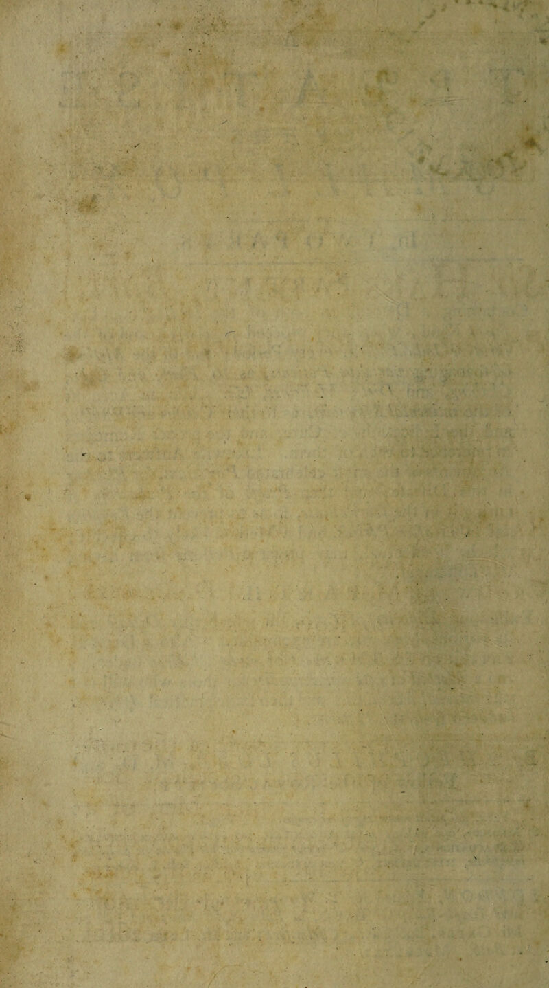 m •. t c* >• ' V* <r 4k ** * 4