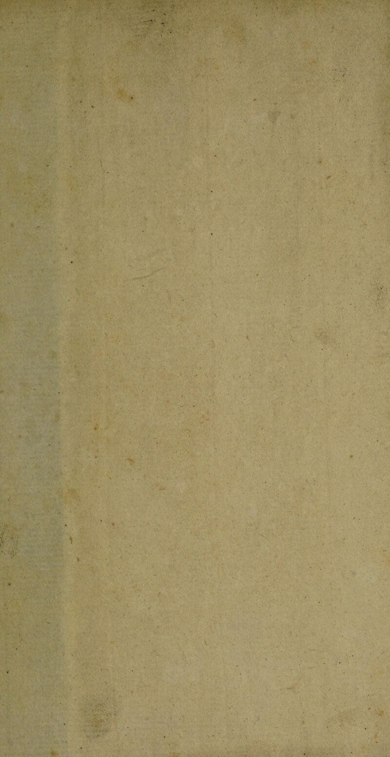 V:>; ■ •' V..- • / , ; , - »•. •r V- *