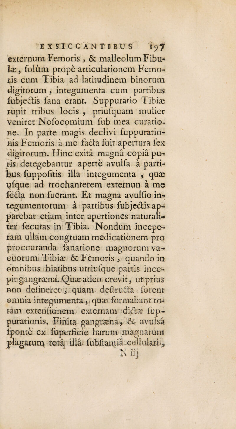 externum Femoris ^ & malleolum Fibu¬ la: y (olimi propè articulationem Femo- ris cum Tibia ad latitudinem binorum digitorum , integumenta cum partibus fubje&is fana erant. Suppurano Tibia: rupit tribus locis , priulquam mulier veniret Nofocomium fub mea curatio- ne. In parte magis declivi fuppuratio- nis Femoris à me fa£la fuit apertura (ex digitorum. Hinc exità magna copia pu- ris detegebantur apertè avulfa à parti- bus fuppofitis illa integumenta 5 quae ufque ad trochanterem externun à me fefla non fuerant. Et magna avulfio in- tegumentorum à partibus fubje&is ap- parebat etiam inter apertiones naturali- ter fecutas in Tibia, Nondum incepe- ram ullam congruam medicationem prò proccuranda fanatione magnorum va- cuorum Tibi^e 6c Femoris ^ quando in omnibus hiatibus utriufque partis ince- pit gangrarna. Qu^eadeo crevit, utprius non defmeret 3 quam deilru£ta forent omnia integumenta , quas formabant to¬ tani extenfionem externam dì&m fup- purationis. Finita gangrama, & avulsa fpontè ex fuperficie harum magnarum plagarum tota illà fubftantià cellulari*.