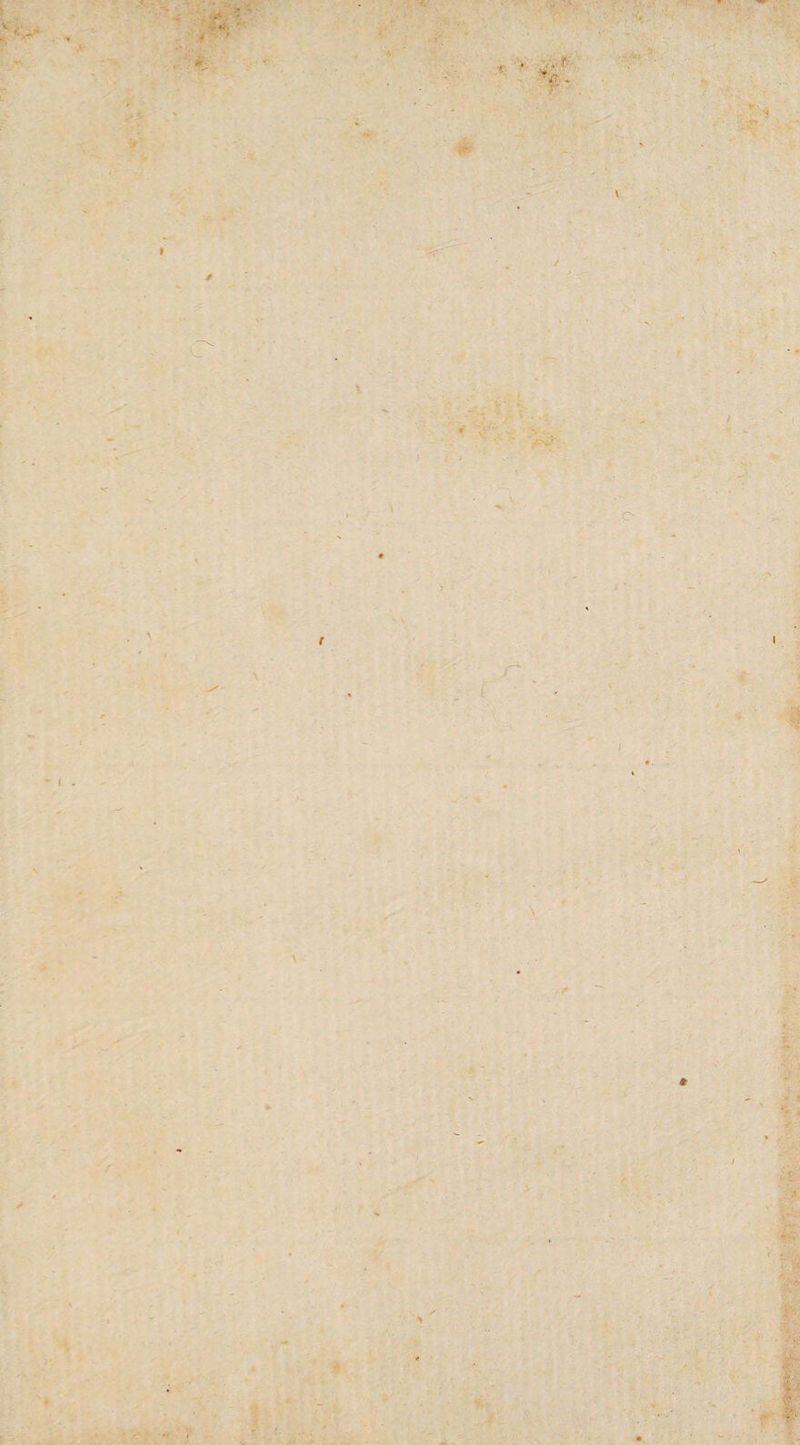 ' *i. it- • • . -f ■f. • ■t 9 * \ \ r \ •* * } : r ■