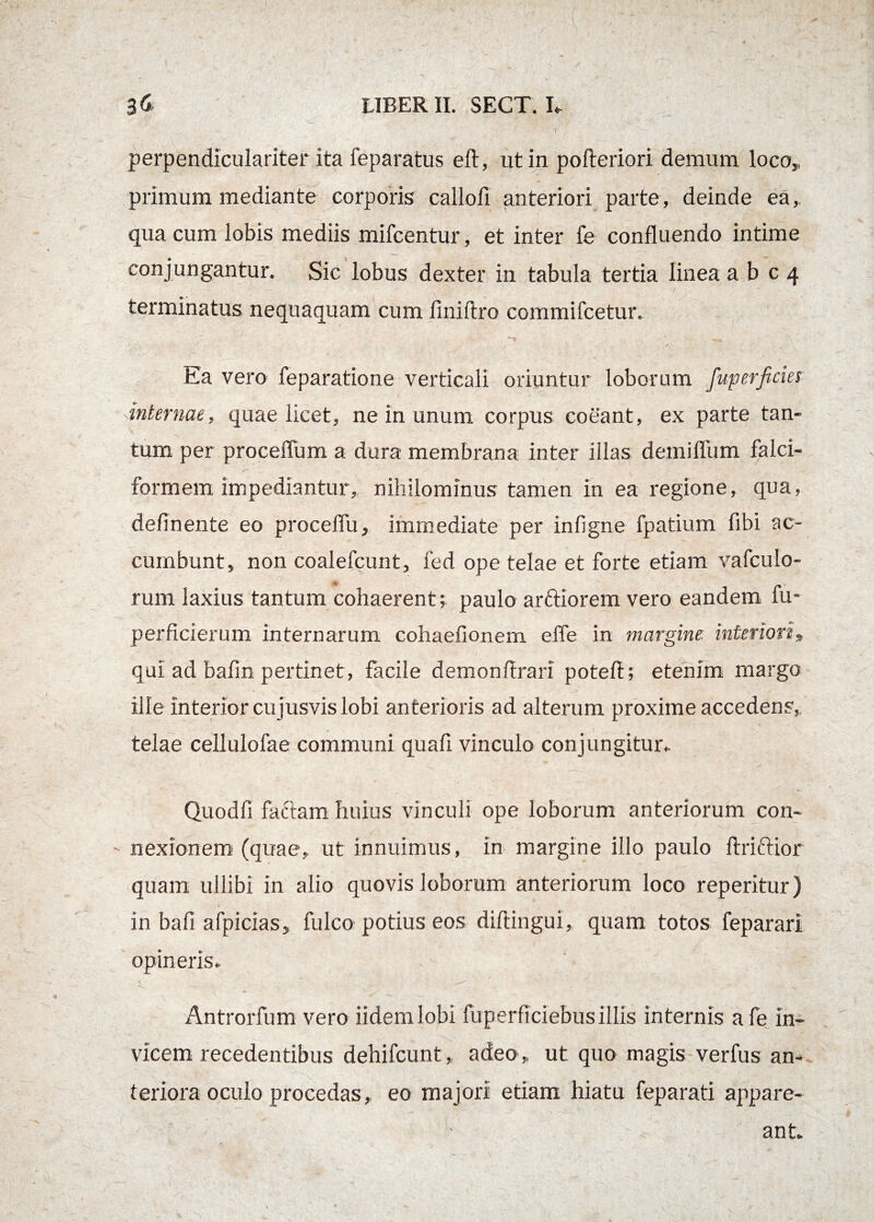 perpendiculariter ita feparatus eft, ut in pofteriori demum loco, primum mediante corporis callofi anteriori parte, deinde ea, qua cum lobis mediis mifcentur, et inter fe confluendo intime conjungantur. Sic lobus dexter in tabula tertia linea a b c 4 terminatus nequaquam cum finiftro commifcetur. Ea vero feparatione verticali oriuntur loborum fuperficies xinternae, quae licet, ne in unum corpus coeant, ex parte tan¬ tum per proceffum a dura membrana inter illas demiffum falci¬ formem impediantur, nihilominus tamen in ea regione, qua, delinente eo proceflu, immediate per infigne fpatium fibi ac¬ cumbunt, non coalefcunt, fed ope telae et forte etiam vafculo- rum laxius tantum cohaerent; paulo arftiorem vero eandem fu- perficierum internarum cohaefionem effe in margine, interiori» qui ad balin pertinet, facile demonflrari poteft; etenim margo ille interior cujusvis lobi anterioris ad alterum proxime accedens, J . . - ■- * ' V telae cellulofae communi quafi vinculo conjungitur, Quodfi faciam huius vinculi ope loborum anteriorum con- - nexionem (quae, ut innuimus, in margine illo paulo ftriftior quam ullibi in alio quovis loborum anteriorum loco reperitur) in bafi afpicias, fulco potius eos diftingui, quam totos feparari opineris, , * Antrorfum vero iidemlobi fuperficiebusillis internis afe in¬ vicem recedentibus dehifcunt, adeo ,, ut quo magis verfus an¬ teriora oculo procedas, eo majori etiam hiatu feparati appare¬ ant.