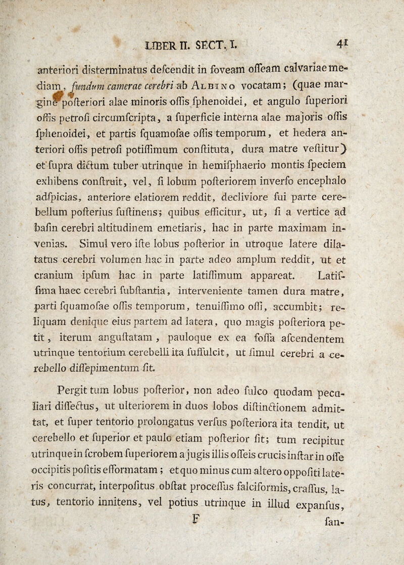 anteriori disterminatus defcendit in foveam olTeam calvariae me- i riiam, fmdurn camerae cerebri ab Albino vocatam; (quae mar- gin^pofteriori alae minoris offis fphenoidei, et angulo fuperiori offis petrofi circumfcripta, a fuperficie interna alae majoris offis fphenoidei, et partis fquamofae offis temporum, et hedera an¬ teriori offis petrofi potiffimum conftituta, dura matre vertitur) et fupra dictum tuber utrinque in hemifphaerio montis fpeciem exhibens conftruit, vel, fi lobum pofteriorem inverfo encephalo adfpicias, anteriore elatiorem reddit, decliviore fui parte cere¬ bellum pofterius fuftinens; quibus efficitur, ut, fi a vertice ad bafin cerebri altitudinem emetiaris, hac in parte maximam in¬ venias. Simul vero ifte lobus pofterior in utroque latere dila¬ tatus cerebri volumen hac in parte adeo amplum reddit, ut et cranium ipfum hac in parte latiffimum appareat Latif- fima haec cerebri fubftantia, interveniente tamen dura matre, parti fquamofae offis temporum, tenuiffimo offi, accumbit; re¬ liquam denique eius partem ad latera, quo magis pofteriora pe¬ tit , iterum anguftatam , pauloque ex ea fofia afcendentem utrinque tentorium cerebelli ita fuffulcit, ut fimul cerebri a ce¬ rebello diflepimentum fit. Pergit tum lobus pofterior, non adeo fulco quodam pecu¬ liari di fle cius, ut ulteriorem in duos lobos diftinftionem admit- \ * - , tat, et fuper tentorio prolongatus verius pofteriora ita tendit, ut cerebello et fuperior et paulo etiam pofterior fit; tum recipitur utrinquein ferobem fuperiorem a jugis illisofteis crucis inftar in olfe occipitis pofitis eftbrmatam; etquo minus cum altero oppofiti late¬ ris concurrat, interpofitus obftat procellas falciformis, craffus, la¬ tus, tentorio innitens, vel potius utrinque in illud expanfus, F fan-