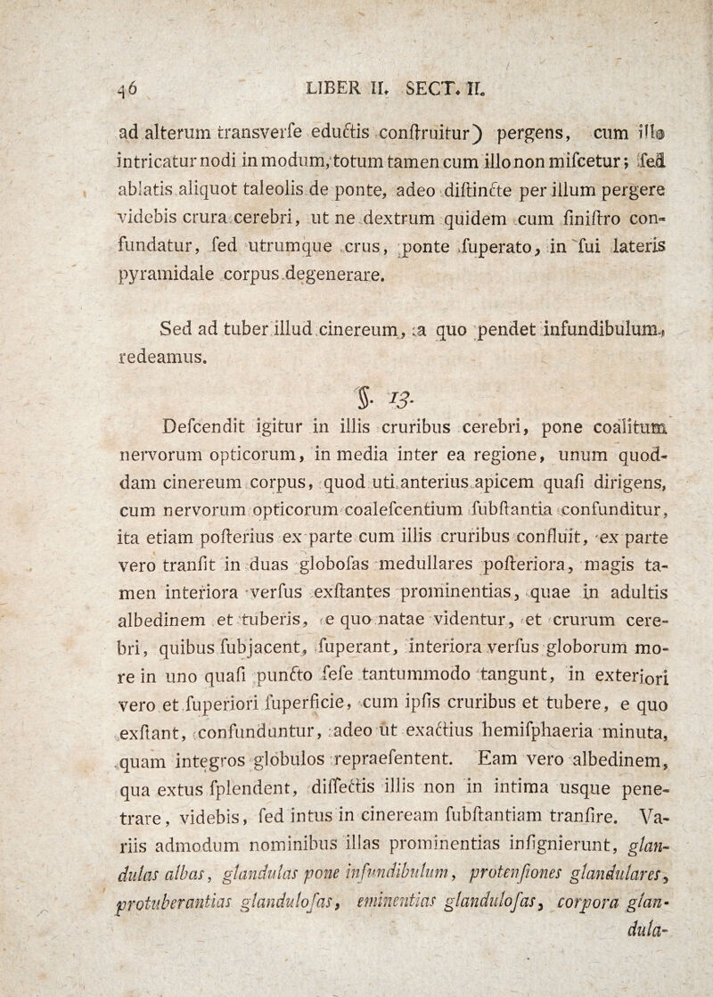 ad alterum transverfe eduftis conffruitur) pergens, cum ilis intricatur nodi in modum, totum tamen cum illo non mifcetur; Ted ablatis aliquot taleolis de ponte, adeo «diftinfte per illum pergere videbis crura cerebri, ut ne dextrum quidem «cum finiftro con¬ fundatur, fed utrumque crus, ponte fuperato, in fui lateris pyramidale corpus degenerare. Sed ad tuber illud,cinereum, ;a quo pendet infundibulum.# redeamus. % 13- Defcendit igitur in illis cruribus cerebri, pone coalitum nervorum opticorum, in media inter ea regione, unum quod¬ dam cinereum corpus, quod uti,anterius apicem quafi dirigens, cum nervorum opticorum coalefcentium dubitantia .confunditur, ita etiam polterius ex parte cum illis cruribus confluit, ex parte vero tranfit in duas globofas medullares pofteriora, magis ta¬ men interiora verfus exftantes prominentias, quae in adultis albedinem et tuberis, «e quo natae videntur, et crurum cere¬ bri, quibus fubjacent, fuperant, interiora verfus globorum mo¬ re in uno quafi punfto fefe tantummodo tangunt, in exteriori vero et fuperiori fuperficie, cum ipfis cruribus et tubere, e quo exftant, «confunduntur, adeo ut exattius hemifphaeria minuta, quam integros globulos repraefentent. Eam vero albedinem, qua extus fplendent, diffettis illis non in intima usque pene¬ trare, videbis, fed intus in cineream fubftantiam tranfire. Va¬ riis admodum nominibus illas prominentias infignierunt, glan¬ dulas albas, glandulas pone infundibulum, protenfiones glandulares, protub er antias glandulofas, eminentias glandulofas, corpora glan¬ dula- I