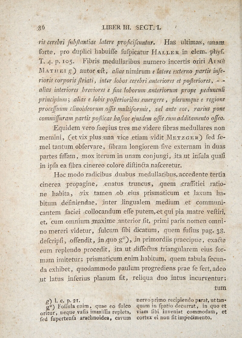 ;86 LIBER III. .‘SEGT/Il ' ris cerebri fubftantiae latere proficifcuntur, Has ultimas, amara forte, pro duplici habuiffe fufpicatur HALjLER in elem. pliyf. T. 4. p. 105. Fibris medullaribus numero incertis oriri Aim$ Mathei gj autor eft, alias nimirum e latere externo partis infe¬ rioris corporis friati, inter lobos cerebri anteriores et pojteriores, - - alias interiores breviores e fine loborum Anteriorum prope pedunculi principium; alias e lobis pofterioribus emergere , plerumque e regione proceffuum clinoideorum,offis multiformis, ,vel ante eos, rarius pone commiffurqm partis pojUcae bafeos ejusdem offis .cum additamento offeo. Equidem vero faepius tres me videre fibras medullares non memini, (et vix plus una vice etiam vidit Metzger) fed fe- mei tantum obfervare, fibram longiorem five externam in duas partes fiflam, mox iterum in unam conjungi, ita ut infula quali in ipfa ea fibra cinereo colore diftinfta n afceretur. Hoc modo radicibus duabus medullaribus,accedente tertia cinerea propagine, enatus truncus, quem .crafiitiei ratio¬ ne habita, vix tamen ob eius prismaticum et laxum ha¬ bitum definiendae, inter lingualem imedium et communi¬ cantem faciei collocandum effe putem,«t qui pia matre veftiri, et, cum omnium ^naxime.anterior fit, primi paris nomen omni¬ no mereri videtur, fulcum fibi dicatum, quem fufius pag, 38. defcripfi, offendit, jmquo g*), jn primordiis praecipue, exafte eum replendo procedit, ita ut diffeftus triangularem eius for¬ mam imitetur; prismaticum,enim habitum, quem tabula fecun¬ da exhibet, quodammodo paulum progrediens prae fe fert, adeo ut latus inferius planum fit, reliqua duo intus incurventur; tum g) 1. c. p. 2T. ( nervoprimo recipiendo parat, uttan- g®) FolTulaenim, qnae eo falco quam in fpatio decurrat, in quo et oritur, neque vafis immiffis repleta, viam libi inveniat commodam, et fed fupertenfa arachnoidea, cavum cortex ei non fit impedimento.