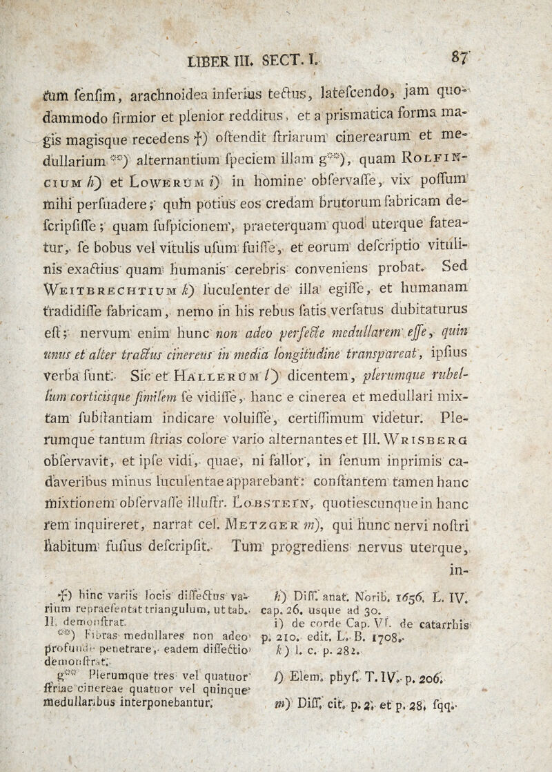 v„ LIBER III. SECT. I. 87' tum fenfim, arachnoidea inferius teftus, lateicendo, jam quo¬ dammodo firmior et plenior redditus, et a prismatica iorma ma¬ gis magisque recedens f) oftendit ftriarum1 cinerearum et me¬ dullarium**) alternantium fpeciem illam g**), quam Rolfin* cium hj et Lowerum i) in homine ofcfervaffe, vix poffum mihi perfuaderequin potius eos credam Brutorum fabricam ae- fcripfiffequam fufpicionem', praeterquam quod' uterque fatea¬ tur,- fe bobus vel vitulis ufum fu i (Te, et eorum defcnptio vituli¬ nis exaftius quam- humanis' cerebris5 conveniens probat. Sed Weitbrechtium k) luculenter de illa egiffe, et humanam tradidiffe fabricam, nemo in his rebus fatis verfatus dubitaturus eft; nervum' enim liunc non adeo perfere medullarem' ejfe, quin unus et alter iratius cinereus in media longitudine trans par eat, ipfius Verba funtf Sic et' Hallerum iy dicentem, plerumque rubel¬ lum corticisque [imitem fe vidiffe, hanc e cinerea et medullari mix¬ tam5 fubiiantiam indicare voluiffe, certifiimum videtur. Ple¬ rumque tantum llrias colore vario alternanteset 111. Wrisberg obfervavit,- et ipfe vidi,- quae, ni fallor , in fenum inprimis ca¬ daveribus minus luculentae apparebant : conflantem tamen hanc mixtionem obfervafie illuftr. Eobstein, quotiescunquein hanc rem inquireret, narrat ce!. Metzger m), qui hunc nervi noftri habitum5 fufius defcripfit.. Tum progrediens- nervus uterque, in- _ T) hinc variis locis diffeftns va- fi) DifiVanat. Norif, 1/556. L. IV. rium repraefentat triangulum, ut tab,- cap. 26. usque ad 30. 11; demonftrat. i) de corde Cap. Vf. de catarrhis m) !’ieras medullares non adeo* p. 210. edit. L» B. 1708,- profunde penetrare,- eadem diffeftio' k) 1, c. p. 282. demonffr.uf;. , Plerumque tres vel quatuor l) Elem, phyf. T. 1 Vi- p. So6\- ftViae cinereae quatuor vel quinque* medullaribus interponebantur; tn) Diff,' cit, p, f,- et p. SS) fqq.-