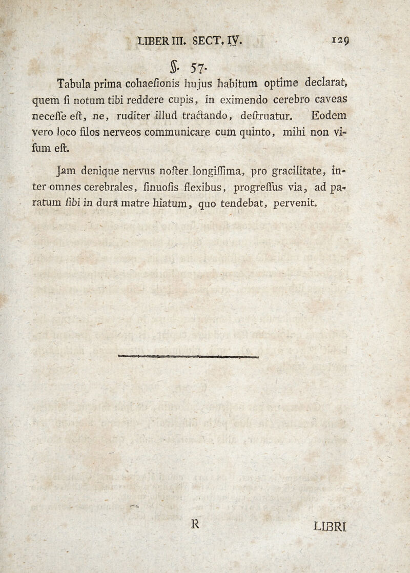 57- Tabula prima cohaefionis hujus habitum optime declarat, quem fi notum tibi reddere cupis, in eximendo cerebro caveas necefle eft, ne, ruditer illud traftando, deftruatur. Eodem vero loco filos nerveos communicare cum quinto, mihi non vi- fum eft. / -- Jam denique nervus nofter longifiima, pro gracilitate, in* ter omnes cerebrales, finuofis flexibus, progreflus via, ad pa¬ ratum fibi in dura matre hiatum, quo tendebat, pervenit. •- - { ' v - : r ' - : ; - '... ; ; ' _ ■ ^ ( R LIBRI