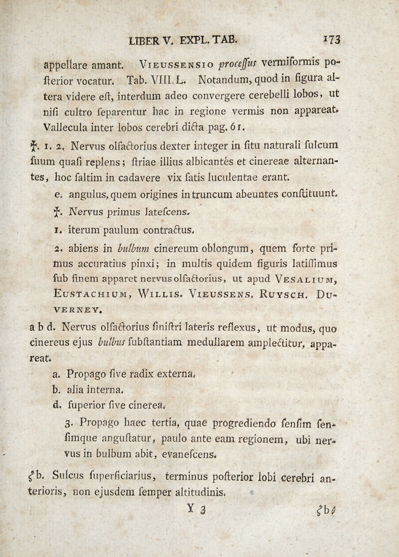 appellare amant Vieussensio procejfus vermiformis po- flerior vocatur. Tab. VIII. L. Notandum, quod in figura al¬ tera videre efi, interdum adeo convergere cerebelli lobos, ut nifi cultro feparentur hac in regione vermis non appareat Vallecula inter lobos cerebri difta pag. 6r. 5*. 1. 2. Nervus olfaftorius dexter integer in fitu naturali Iuleum fuum quafi replens 5 ftriae illius albicantes et cinereae alternan¬ tes, hoc faltim in cadavere vix fatis luculentae erant. e, anguius, quem origines in truncum abeuntes conftituunt f. Nervus primus iatefccns. r. iterum paulum contrarius. 2. abiens in bulbum cinereum oblongum, quem forte pri¬ mus accuratius pinxi; in multis quidem figuris latiifimus fub finem apparet nervus olfariorius, ut apud VeSauum, Eustachium, Willis» Vieussens. Ruysch. Du- VERKEY, a b d. Nervus olfariorius finiftri lateris reflexus, ut modus, quo cinereus ejus bulbus fubftantiam medullarem ampleriitur, appa¬ reat a. Propago five radix externa. ? b. alia interna. d, fuperior five cinerea. 3. Propago haec tertia, quae progrediendo fenfim fen- fimque anguftatur, paulo ante eam regionem, ubi ner¬ vus in bulbum abit, evanefeens, ^b. Sulcus fuperficiarius, terminus pofterior lobi cerebri an¬ terioris, non ejusdem femper altitudinis. Y 3 .