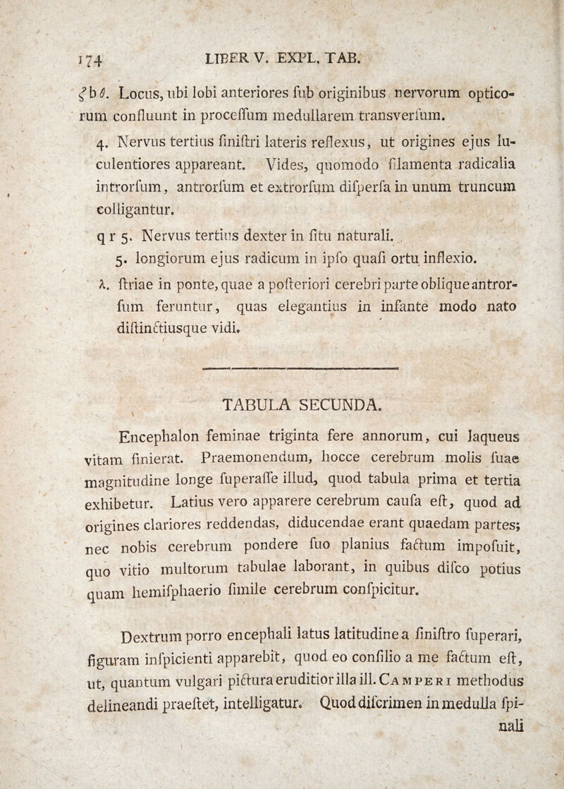 gbS. Locus, ubi lobi anteriores fub originibus nervorum optico¬ rum confluunt in proceffum medullarem transverfum. 4. Nervus tertius finiltri lateris reflexus, ut origines ejus lu¬ culentiores appareant. Vides, quomodo filamenta radicalia introrfum, antrorfum et extrorfum difperfa in unum truncum colligantur. 4 \ - » /’ \ q r 5. Nervus tertius dexter in fi tu naturali. 5. longiorum ejus radicum in ipfo quafi ortu inflexio. K. ftriae in ponte, quae a pofteriori cerebri parte oblique antror¬ fum feruntur, quas elegantius in infante modo nato j diftinftiusque vidi. TABULA SECUNDA. Encephalon feminae triginta fere annorum, cui laqueus vitam finierat. Praemonendum, hocce cerebrum molis fuae magnitudine longe fuperalfe illud, quod tabula prima et tertia exhibetur. Latius vero apparere cerebrum caufa eft, quod ad origines clariores reddendas, diducendae erant quaedam partes; nec nobis cerebrum pondere fuo planius faftum impofuit, quo vitio multorum tabulae laborant, in quibus difco potius quam hemifphaerio fnnile cerebrum confpicitur. Dextrum porro encephali latus latitudine a /iniflro fuperari, figuram infpicienti apparebit, quod eo confilio a me factum eft, ut, quantum vulgari piftura eruditior illa HI.Cam peri methodus delineandi praeftet, intelligatur. Quod dilcrimen in medulla fpi- 'M ' nali