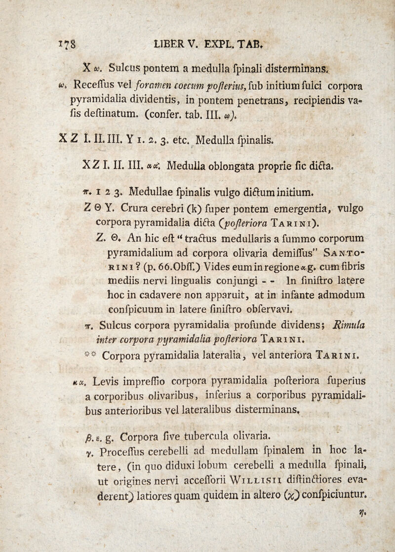 X co. Sulcus pontem a medulla fpinali disterminans* »«. Receffus vel foramen coecnm pojlerius, fub initium fulci corpora pyramidalia dividentis, in pontem penetrans, recipiendis va» fis deftinatum. (confer, tab. III. »J. X 2 I. II. III. Y i. 2. 3. etc. Medulla fpinalis. X 21. II. III. « «; Medulla oblongata proprie fic ditta. *•. 1 2 3. Medullae fpinalis vulgo diftum initium. 2 0 Y. Crura cerebri (k) fuper pontem emergentia, vulgo corpora pyramidalia dicta ('pojleriora Tari ni). 2. 0, An hic eft “ traftus medullaris a fummo corporum pyramidalium ad corpora olivaria demilfus” Santo- rini ? (p. 66.0blf.) Vides eum in regione *g» cum fibris mediis nervi lingualis conjungi - - In finiftro latere hoc in cadavere non apparuit, at in infante admodum confpicuum in latere finiftro obfervavi. t. Sulcus corpora pyramidalia profunde dividens; Rimula inter corpora pyramidalia pojleriora Tari ni. ** Corpora pyramidalia lateralia, vel anteriora Tari ni. * f #«. Levis imprelfio corpora pyramidalia pofteriora fuperius a corporibus olivaribus, inferius a corporibus pyramidali» bus anterioribus vel lateralibus disterminans, j8. s. g. Corpora five tubercula olivaria, y. Proceflus cerebelli ad medullam fpinalem in hoc la» tere, (in quo diduxi lobum cerebelli a medulla fpinali, ut origines nervi accefforii Willisii diftinftiores eva¬ derent) latiores quam quidem in altero (%) confpiciuntur.