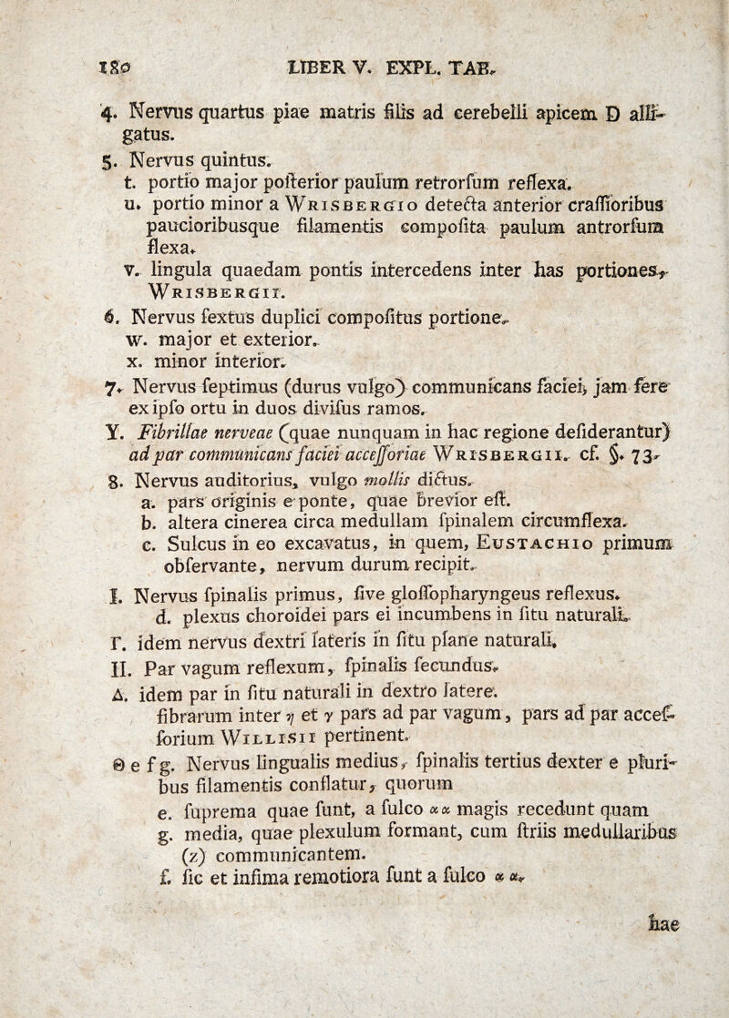 4. Nervus quartus piae matris filis ad cerebelli apicem D alli¬ gatus . 5. Nervus quintus. t. portio major pofierior paulum retrorfum reflexa. u. portio minor a Wrisbergio detefta anterior craffioribus paucioribusque filamentis compofita paulum antrorfiua flexa. v. lingula quaedam pontis intercedens inter has portiones^- Wrisbergii. 6. Nervus fextus duplici compofitus portione, w. major et exterior. x. minor interior. 7. Nervus feptimus (durus vulgo) communicans faciei* jam fere ex ipfo ortu in duos divifus ramos. Y. Fibrillae nerveae (jquae nunquam in hac regione defiderantur) ad par communicans faciei accefj oriae Wrisbergii. cf. §. 73. 8. Nervus auditorius, vulgo mollis diftus. a. pars originis e ponte, quae Brevior efi. b. altera cinerea circa medullam fpinalem circumflexa. c. Sulcus in eo excavatus, in quem, Eustachio primum obfervante, nervum durum recipit, I. Nervus fpinalis primus, five gloffopharyngeus reflexus. d. plexus choroidei pars ei incumbens in fitu naturali,. T. idem nervus dextri lateris in fitu plane naturali, II. Par vagum reflexum, fpinalis fecundus. A. idem par in fitu naturali in dextro fatere. fibrarum inter r\ et y pars ad par vagum, pars ad par accef- forium WiLLisii pertinent 0 e f g. Nervus lingualis medius,- fpinalis tertius dexter e pluri¬ bus filamentis conflatur, quorum e. fuprema quae funt, a fulco *« magis recedunt quam g. media, quae plexulum formant, cum ftriis medullaribus (z) communicantem. £ fic et infima remotiora funt a fulco *