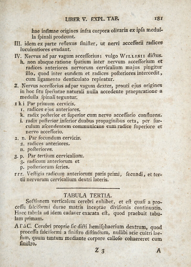 fiae infimae origines infra corpora-olivaria ex ipfa medul¬ la fpinali prodeunt. III. idem ex parte reflexus ftnifter, ut nervi accefforii radices luculentiores evadant. IV. Nervus ad par vagum accefforius; vulgo Willisii diftus- h. non absque ratione fpatium inter nervum aecelforium et radices anteriores nervorum cervicalium majus pingitur illo, quod inter eundem et radices pofteriores intercedit, cum ligamento denticulato repleatur. 2. Nervus accefforius ad par vagum dexter, prouti ejus origines in hoc fi tu fpectatae naturali nulla accedente praeparatione a meduila fpinali teguntur. s k i Par primum cervicis. i. radices ejus anteriores. k. radix pofterior et fuperior cum nervo aeceflbrfo confluens» 1. radix pofterior inferior duabus propaginibus orta, pdr fur- culum alcen dentem communicans cum radice fuperiore et nervo accefiorio. 2. n. Par fecundum cervicisv 2. radices anteriores, n. pofteriores. 3. p. Par tertium cervicalium. 3. radicum anteriorum et p. pofteriorum feries. rrr. Veftigia radicum anteriorum paris primi, fecundi, et ter¬ tii nervorum cervicalium dextri lateris. TABULA TERTIA. SefKonem verticalem cerebri exhibet, et eft quafi a pro- Ceftu falciformi durae matris inceptae divifionis continuatio. Haec tabula ad idem cadaver exarata eft, quod praebuit tabu¬ lam primam. A FAC. Cerebri proprie fic dicti hemifphaerium dextrum, quod proceffu falciformi a finiftro diftinftum, nullibi acie cultri lae- fum, quum tantum mediante corpore callofo cohaereret curo limftro» ■r ' ' ■ - Z g A