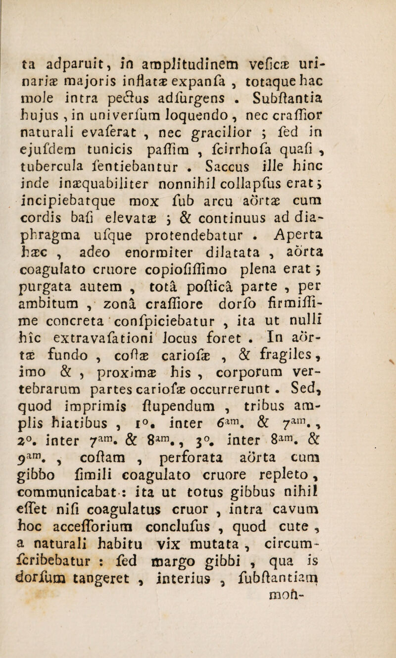 nariae majoris inflatae expanfa , totaque hac mole intra pe$us adfurgens . Subftantia hujus , in univerfum loquendo , nec craflior naturali evaferat , nec gracilior ; fed in ejufdem tunicis paffim , fcirrhofa quafi , tubercula fentiebantur . Saccus ille hinc inde inaequabiliter nonnihil collapfus erat $ incipiebatque mox fub arcu aortae cum cordis bafi elevata 3 & continuus ad dia¬ phragma ufque protendebatur . Aperta haec , adeo enormiter dilatata , aorta coagulato cruore copiofiffimo plena erat 3 purgata autem , tota poftica parte , per ambitum , zona craffiore dorfo firmifll- me concreta confpiciebatur y ita ut nulli hic extravafationi Jocus foret . In aor- tx fundo , coflze cariofe , & fragiles * imo & j proxima his , corporum ver¬ tebrarum partes cariofe occurrerunt . Sed9 quod imprimis ftupendum , tribus am¬ plis hiatibus , i°• inter 6am. & 7am., 2°. inter 7am. & 8am., 30. inter 8an\ & 9am. , coflam , perforata aorta cum gibbo fimili coagulato cruore repleto * communicabat : ita ut totus gibbus nihi! effet nifi coagulatus eruor , intra cavum hoc accefforium conclufus , quod cute , a naturali habitu vix mutata , circum- feribebatur : fed margo gibbi , qua is dorfuna tangeret * interius , fubftantiaru mofi-