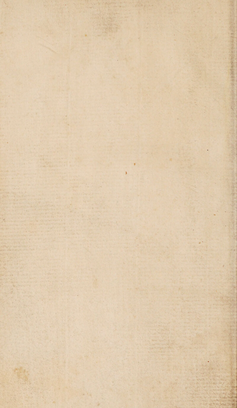 . - -4 V ' •-'W . , * - ; >»,. ' ■ *-•- ’ ' ' ' •- ' • . . . *v *» • ■*, w. *' b. . • . . V , -- > • -K- - ' . - <n < •« .. .. -I.- S. -• '•> *• ••••' <* ■ ■ -f- V r'x • • • ■A. ! V < W':