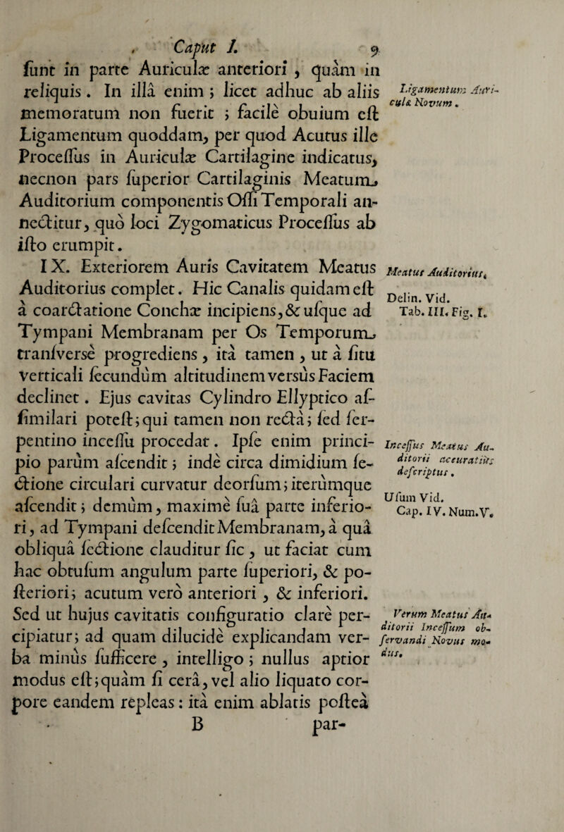 Ligamentum Auri¬ cula Hevum. Delin. Vid. Tab.m.Fig. I, k i C&jnit' I» funt in parte Auriculae anteriori , quam in reliquis . In illa enim ; licet adhuc ab aliis memoratum non fuerit ; facile obuium eft Ligamentum quoddam, per quod Acutus ille Proce diis in Auriculae Cartilagine indicatus, necnon pars fuperior Cartilaginis Meatum., Auditorium componentis Ofli Temporali an¬ nectitur, quo loci Zygomaticus Proceflus ab ifto erumpit. IX. Exteriorem Auris Cavitatem Meatus Mextut Auiueriut, Auditorius complet. Hic Canalis quidam eft a coartftatione Concha: incipiens,&:ufque ad Tympani Membranam per Os Temporum., tranfverse progrediens, ita tamen , ut a fltu verticali fecundum altitudinem versus Faciem declinet. Ejus cavitas Cylindro Ellyptico af- fimilari poreft;qui tamen non recla; fed fer- pentino inceflu procedat. Ipfe enim princi- incejfus Meatus au pio parum afcendit; inde circa dimidium fe- tftione circulari curvatur deorfum;iterumque afcendit ■, demum, maxime fua parte inferio¬ ri, ad Tympani defcenditMembranam,a qua obliqua fedfione clauditur fic , ut faciat cum hac obtufum angulum parte fuperiori, & po- fteriorij acutum vero anteriori, & inferiori. Sed ut hujus cavitatis configuratio clare per- , f’™» Meatu,- A». . . I |.i .t\° j. -i 1 ditorii Inceffum ob~ cipiatur; ad quam dilucide explicandam ver- fervandi novus me. ba minus fufffcere , intelligo ; nullus aptior dus' modus efbquam fi cera, vel alio liquato cor¬ pore eandem repleas: ita enim ablatis poftea B par- ditoni ac e urat iit: defcriptiif, U fam Vid. Cap. IV. Num.\r*