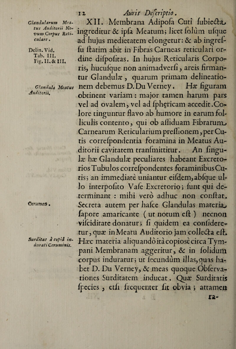 Glandularum Mea¬ tus Auditorii No¬ vum Corpus Re ti¬ tulare , Delin.Vid. Tab. III. Fig, II. & III, GlanduU Meatus Auditorii, Cerumeft * Surditas d copia in¬ durati Ceruminis. \ 11 Auris Defcriptio. XII. Membrana Adipola Cuti fubiedbt» ingreditur & ipfa Meatum; licet lolum ulque ad hujus medietatem elongetur: & ab ingref- fu ftatim abit in Fibras Carneas reticulari or¬ dine dilpofitas. In hujus Reticularis Corpo¬ ris, huculque non animadverfi, areis firman¬ tur Glandulx , quarum primam delineatio¬ nem debemus D.Du Verney. Hx figuram obtinent variam: major tamen harum pars vel ad ovalem, vel ad fph?ricam accedit .Co¬ lore tinguntur flavo ab humore in earum fol- o liculis contento, qui ob alliduam Fibrarum_> Carnearum ReticuIariumprelhonem,perCu- tis correlpondentia foramina in Meatus Au¬ ditorii cavitatem tranfimittitur. An fingu- lx hx Glandulx peculiares habeant Excreto¬ rios Tubulos correlpondentes foraminibus Cu¬ ris; an immediate uniantur eildem,ablque ul¬ lo interpofito Vale Excretorio; lunt qui de¬ terminant : mihi vero adhuc non confiat. Secreta autem per halce Glandulas mareriaj fapore amaricante ( ut notum eft ) necnon vilciditatedonatur; fi quidem ea coniidere- tur,qux inMearu Auditorio jamcolledta efi. Hxc materia aliquandoitacopiosecirca Tym¬ pani Membranam aggeritur, & in folidum corpus induratur; ut fecundum illas,quas ha¬ bet D. Du Verney, & meas quoque Oblerva- tiones Surditatem inducat. Qux Surditatis fpecies , etfi frequenter fit obvia ; attamen ra-