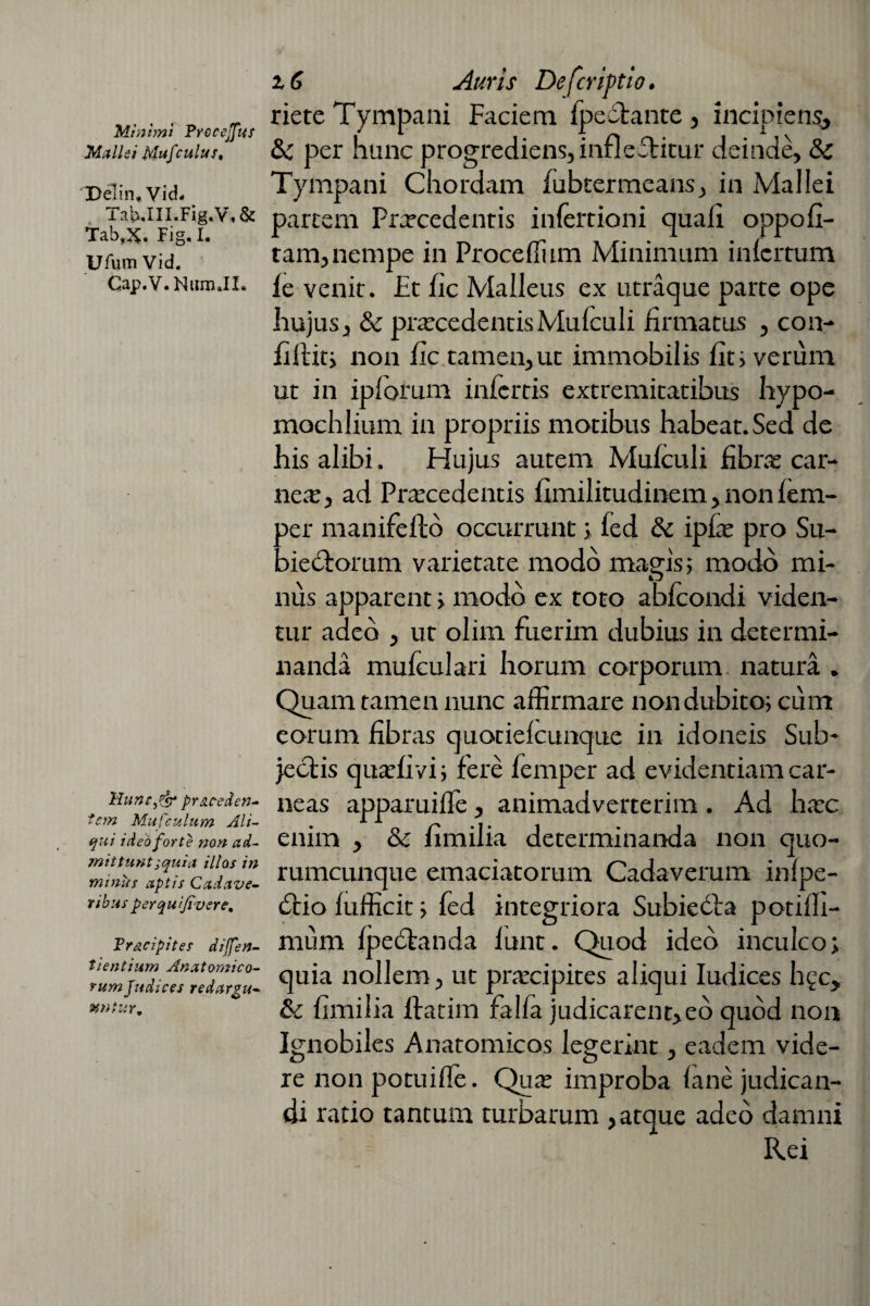 Minimi Proc ejus Mallei Mufculus. Delin* Vid- TahJII.Fig.V. & Tab*X. Fig. I. Ufum Vid. Cap.V. Num JI» Muncfo proceden¬ tem Mufculum Ali¬ qui ideo forte non ad¬ mittunt jquia illos in minus aptis Cadave¬ ribus perquifiverc, Pr&cipites dijfen- tientium Anatomico¬ rum judices redargu¬ antur. z6 Auris Defcriptio. riete Tympani Faciem fpedante , incipiens, & per hunc progrediens, infleTitur deinde, &C Tympani Chordam fubtermeans, in Mallei partem Procedentis iniertioni quali oppofi- tam, nempe in Procelli tm Minimum infertum fe venit. Et fic Malleus ex utraque parte ope hujus, & procedentisMulculi firmatus , con- fillit; non fic tamen,ut immobilis liti verum ut in iplorum infertis extremitatibus hypo- mochlium in propriis motibus habeat.Sed de his alibi. Hujus autem Mufculi fibro car¬ neo, ad Procedentis fimilitudinem , non fem- per manifeftb occurrunt ; fed dc ipfo pro Su- biecfomm varietate modo magis; modo mi¬ nus apparent; modo ex toto abfeondi viden¬ tur adeo , ut olim fuerim dubius in determi¬ nanda mulculari horum corporum natura . Quam tamen nunc affirmare non dubito; cum eorum fibras quotielcunque in idoneis Sub¬ jectis quofivi; fere femper ad evidentiam car¬ neas apparuilfe, animadverterim . Ad hoc enim , & fimilia determinanda non quo¬ rumcunque emaciatorum Cadaverum inlpe- dtio fufficit; fed integriora Sublecta potilli- mum Ipectanda funt. Quod ideo inculco; quia nollem, ut procipites aliqui Iudices h?c, &c fimilia ltacim falfa judicarent,eo quod non Ignobiles Anatomicos legerint, eadem vide¬ re non potuifie. Quo improba lane judican¬ di ratio tantum turbarum ,atque adeo damni Rei