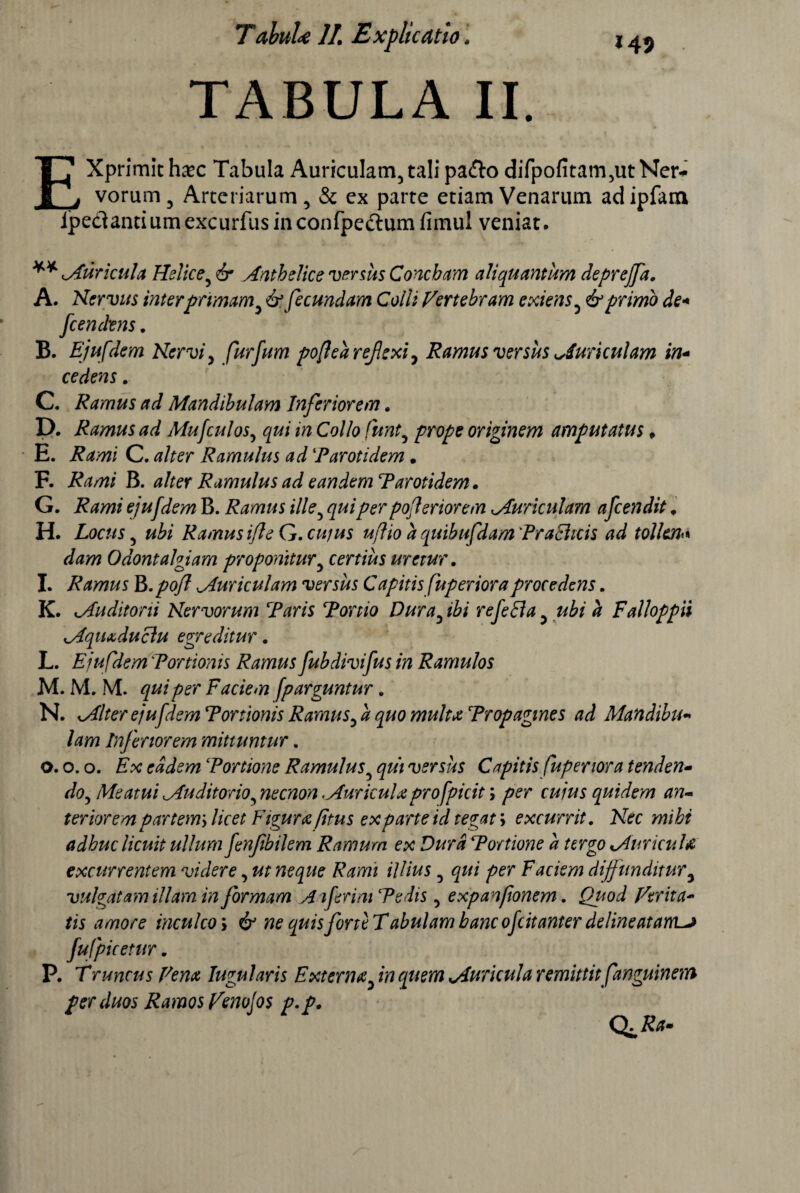 TABULA II. EXprimit hxc Tabula Auriculam, tali pa&o difpofitam,ut Ner¬ vorum, Arteriarum, & ex parte etiam Venarum adipfam Jpedantiumexcurfusinconfpe&um fimul veniat. ** cAuricula Helice, & Anthelice versus Concham aliquantum depreffa. A. Nervus interprimam, fcendens „ B. Ejufdem Nervi, furfum po(lea reflexi, Ramus versus Auriculam in- C. Ramus ad Mandibulam Inferiorem. D. Ramus ad Mufculos, m Co//c? originem amputatus * E. C. Ramulus ad ‘Parotidem. F. Rami B. alter Ramulus ad eandemParotidem. G. Rami ejufdem B. Ramus ille, <p/'perpofleriorem ^Auriculam afcendit * H. Locus, Ramus ifle G. cujus uflio a quibufdam PracUcis ad tollen*« Odontalgiam proponitur, certius uretur, I. Ramus B.poft Muriculam versus Capitis fuperioraprocedens. K. ^Auditorii Nervorum Paris Portio Dura, ibi refefla, a Falloppii cAqiuduclu egreditur. L. Ejufdem Portionis Ramus fubdivifus in Ramulos N. Mlter ejufdem Tortionis Ramus, ^ Propagines ad Mandibu* lam Inferiorem mittuntur. o. o. o. /T*; eadem Portione Ramulus, gwi versus Capitis fuperiora tenden- doj Meatui Mu ditor io ^ necnon.Auricula profpicit; per cuius quidem an¬ teriorempartem* licet Figurae /itus exparte id tegat; excurrit. Ner adhuc licuit ullum fenfibilem Ramum ex Dura Portione a tergo Muriculx excurrentem videre, Rami illius, ^/// Faciem diff unditur, vulgatam illam in formam An ferini Pedis, expanfonem. Quod Verita* tis amore inculco > ^ ne quis forte Tabulam hanc ofcitanter delineatam^ fufpicetur. P. Truncus Vena Iugularis Externa, in quem Auricula remittit fanguinem per duos Ramos Venojos p.p. & fecundam Colli Vertebram exiens, & primo de*