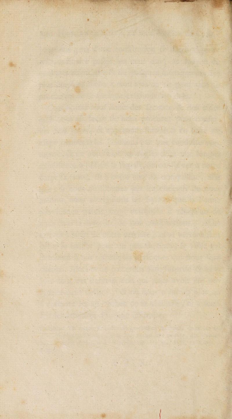 V : •t<  i f * \ s, ' i kw. 'f%. «Ci 1 < . ^,r . N V ■ / V V»i . * I «r / \ / ^ • i i (