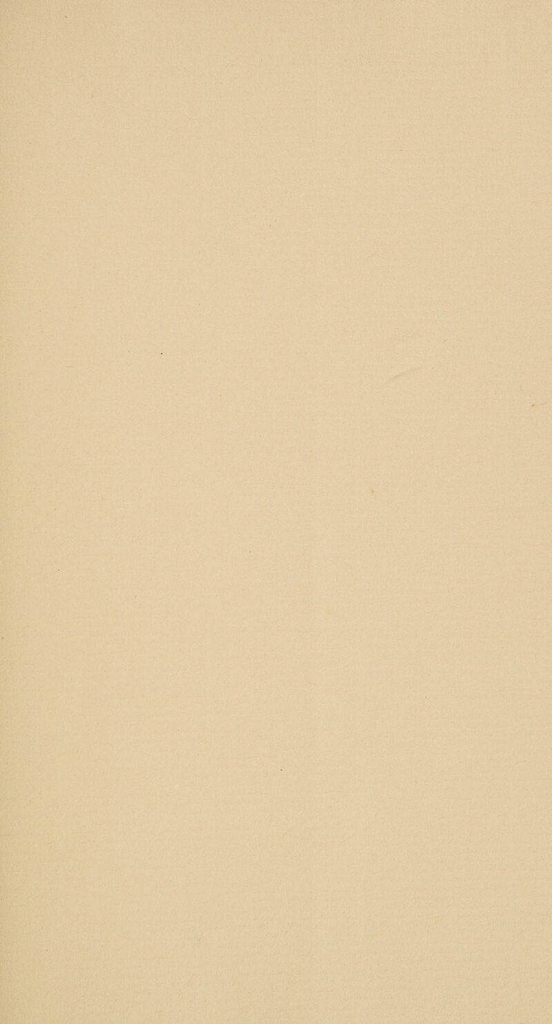 T.