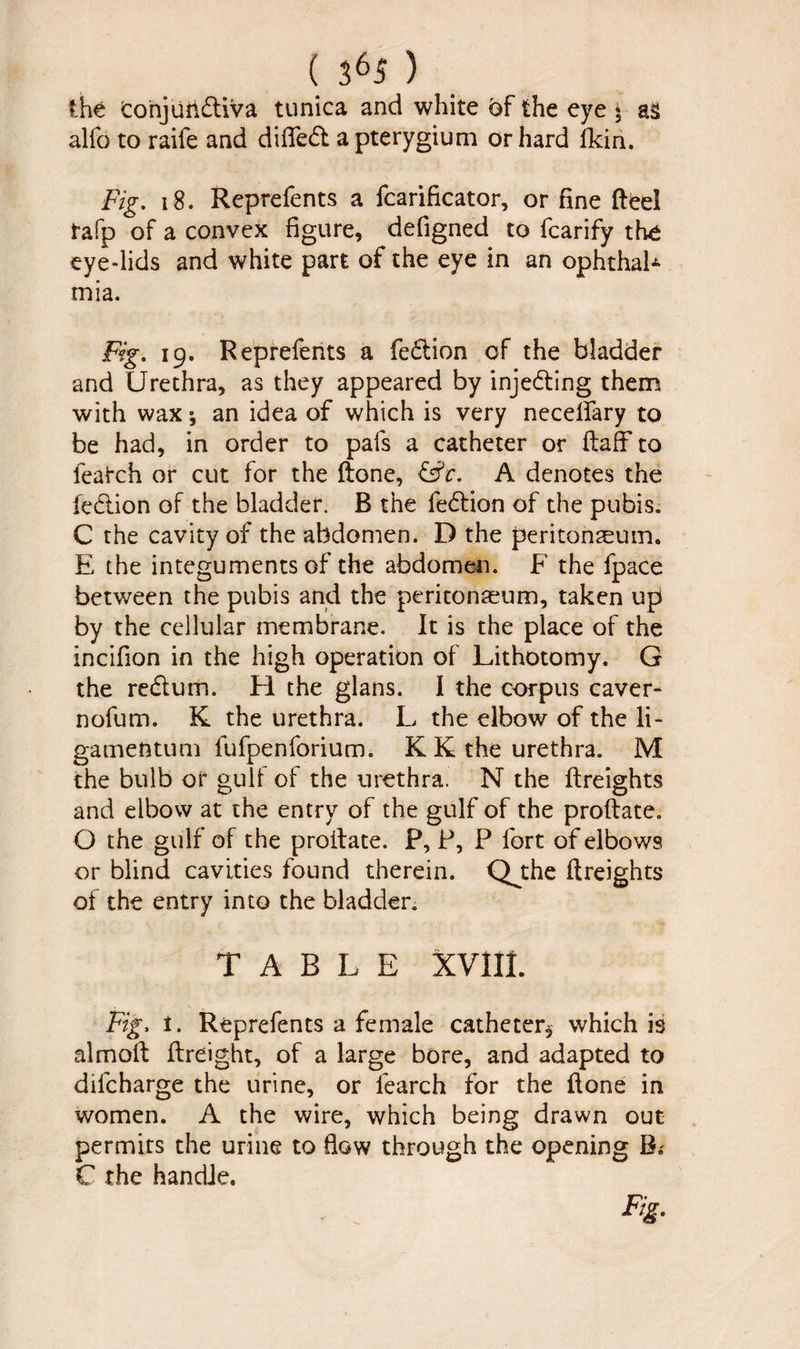 ( 3 65 ) the Conjiiiidtiva tunica and white of the eye $ alfo to raife and difledt a pterygium or hard fleiri. Fig. 18. Reprefents a fcarificator, or fine Feel rafp of a convex figure, defigned to fcarify th£ eye-lids and white part of the eye in an ophthaP mia. Fig. 19. Reprefents a fediion of the bladder and Urethra, as they appeared by injedting them with wax; an idea of which is very neceflfary to be had, in order to pafs a catheter or Faff to leatch or cut for the (lone, &c. A denotes the fedlion of the bladder. B the fedtion of the pubis. C the cavity of the abdomen. D the peritonaeum. E the integuments of the abdomen. F the fpace between the pubis and the peritonaeum, taken up by the cellular membrane. It is the place of the incifion in the high operation of Lithotomy. G the redtum. H the glans. I the corpus caver- nofum. K the urethra. L the elbow of the li- gamentum fufpenforium. K K the urethra. M the bulb or gull of the urethra. N the Freights and elbow at the entry of the gulf of the proFate. O the gulf of the proilate. P, P, P lbrt of elbows or blind cavities found therein. Qj:he Freights of the entry into the bladder. TABLE XVIII. Fig. t. Reprefents a female catheter* which is almoF Freight, of a large bore, and adapted to dilcharge the urine, or learch for the Fone in women. A the wire, which being drawn out permits the urine to flow through the opening B; C the handle.