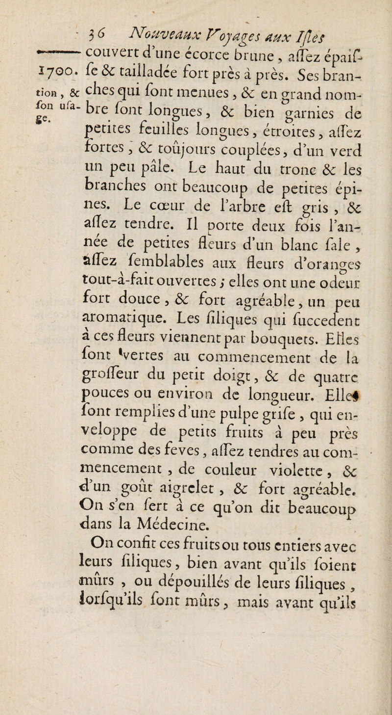 “-couvert d’une écorce brune, alTez épait I700. fe & tailladée fort près à près. Ses bran- tiofi , & ches qui font menues , & en grand nom- fon u*a- bre font longues, Sc bien garnies de petites feuilles longues, étroites, allez fortes, de toujours couplées, d’un verd un peu pâle. Le haut du tronc de les branches ont beaucoup de petites épi¬ nes. Le cœur de l’arbre eft gris , de allez tendre. Il porte deux fois l’an- nee de petites fleurs d’un blanc fale , sflez femblables aux fleurs d’oranges tout-â-faitouvertes; elles ont une odeur fort douce , de fort agréable, un peu aromatique. Les flliques qui fuccedent â ces fleurs viennent par bouquets. Elles font 'vertes au commencement de la grofleur du petit doigt, & de quatre pouces ou environ de longueur. Elle# font remplies d’une pulpe grife , qui en¬ veloppe de petits fruits à peu près comme des feves, allez tendres au com¬ mencement , de couleur violette , de d un goût aigrelet, de fort agréable. On s’en fert â ce qu’on dit beaucoup dans la Médecine. On confit ces fruits ou tons entiers avec leurs fiiiques, bien avant qu’ils foient mûrs , ou dépouillés de leurs flliques, iorfqu’ils font murs, mais avant qu’ils