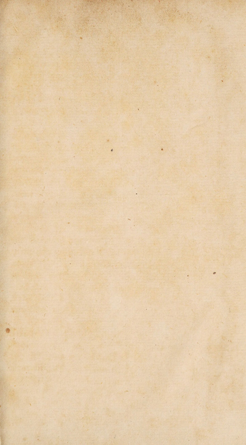 •' A- . •* > V • £ J