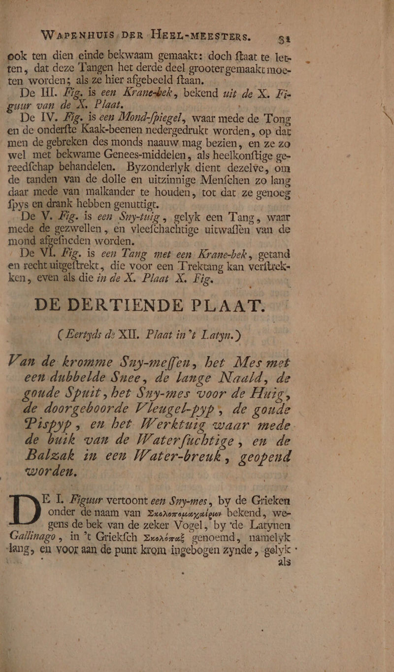 ook ten dien einde bekwaam gemaakt: doch ftaat te let ten, dat deze Tangen het derde deel grooter gemaakt moe- ten worden3 als ze hier afgebeeld ftaan, … - __ De HI. Mig. is een Kranehek, bekend uit de X. Fie euur van de A, Plaat, | _ De IV. Mig. is een Mond-fpiegel, waar mede de Tong en de onderfte Kaak-beenen nedergedrukt worden, op dat men de gebreken des monds naauw. mag bezien, en ze zo wel met bekwame Genees-middelen , als heelkonftige ge- reedfchap behandelen. Byzonderlyk dient dezelve, om de tanden van de dolle en uitzinnige Menfchen zo lang daar mede van malkander te houden, tot dat ze genoeg … fpys en drank hebben genuttigt. es De V. #ig. is een Suy-tuig , gelyk een Tang, waar mede de gezwellen „ en vleefchachtige uicwaflen van de mond afgefneden worden. | De VL Zig. is cen Tang met een. Krane-bek , getand en recht uitgeftrekt, die voor een Trektang kan verftrek= ken, even als die iz de X, Plaat X, Fig, E DE DERTIENDE PLAAT. __ (Bertyds de XII. Plaat int Latyn.) | Van de kromme Sny-meffen, het Mes met een dubbelde Snee, de lange Naald, de goude Spuit, het Suy-mes voor de Huig, de doorgeboorde Vleugel-pyp', de gonde Pispyp &gt; en het. Werktuig waar mede de buik van de Waterfuchtige, en de Balzak in een Water-breuk , geopend worden, ars E L Figuur vertoont een Sny-mes, by de Grieken DD onder de naam van ExoXomouugatgor bekend, wee gens de bek van de zeker Vogel, by ‘de Latynen Gallinago , în % Griekfch zxorsmaf genoemd, namelyk lang, en voor aan de punt. krom ingebogen zynde , Bely: Veken NS als