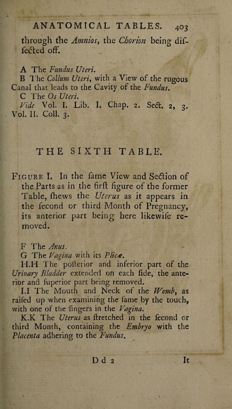 ANATOMICAL TABLES. 403 through the Amnios, the Chorion being dif¬ fered off. ' — , 3 • # f A The Fundus Uteri. B The Collum Uteri, with a View of the rugous Canal that leads to the Cavity of the Fundus. C The Os Uteri. Vide Vol. I. Lib. I. Chap. 2. Se£t. 2, 3. Vol. II. Coll. 3. THE SIXTH TABLE. j , Figure I. In the fame View and Sedlion of the Parts as in the firft figure of the former Table, (hews the Uterus as it appears in the fecond or third Month of Pregnancy, its anterior part being here likewife re¬ moved. F The Anus. G The Vagina with its Plicae. H. H The pofterior and inferior part of the Urinary Bladder extended on each fide, the ante¬ rior and fuperior part being removed. I. 1 The Mouth and Neck of the Womb, as railed up when examining the fame by the touch, with one of the fingers in the Vagina. K.K The Uterus as ftretched in the fecond or third Month, containing the Embryo with the Placenta adhering to the Fundus. D d 2 It \