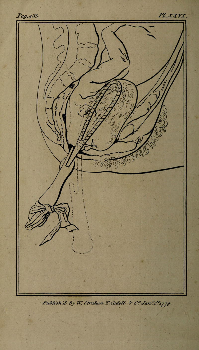 JPagr.435' //.xnr. By W.StraTuzrv T. &amp;C C? Jrasvyzs.tzyyg.
